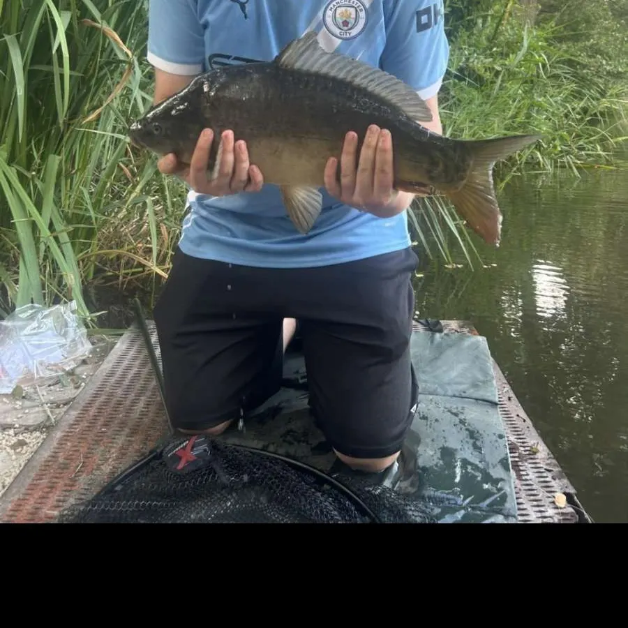Fish caught on Fishbrain