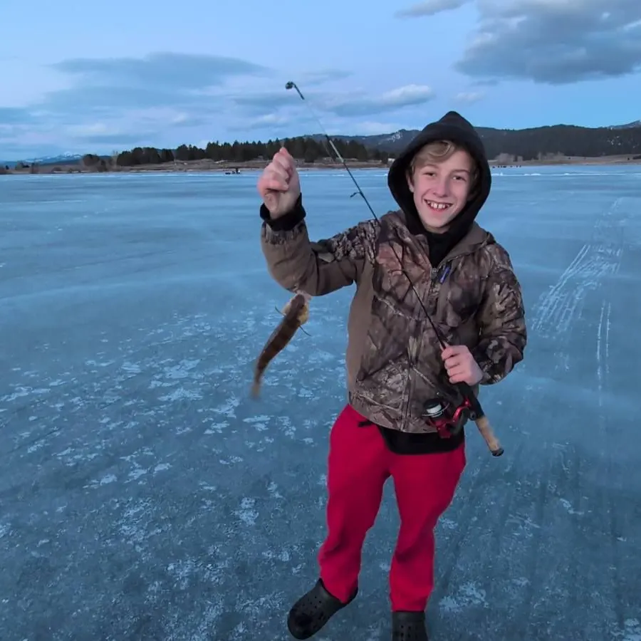 Yellow perch caught on Fishbrain