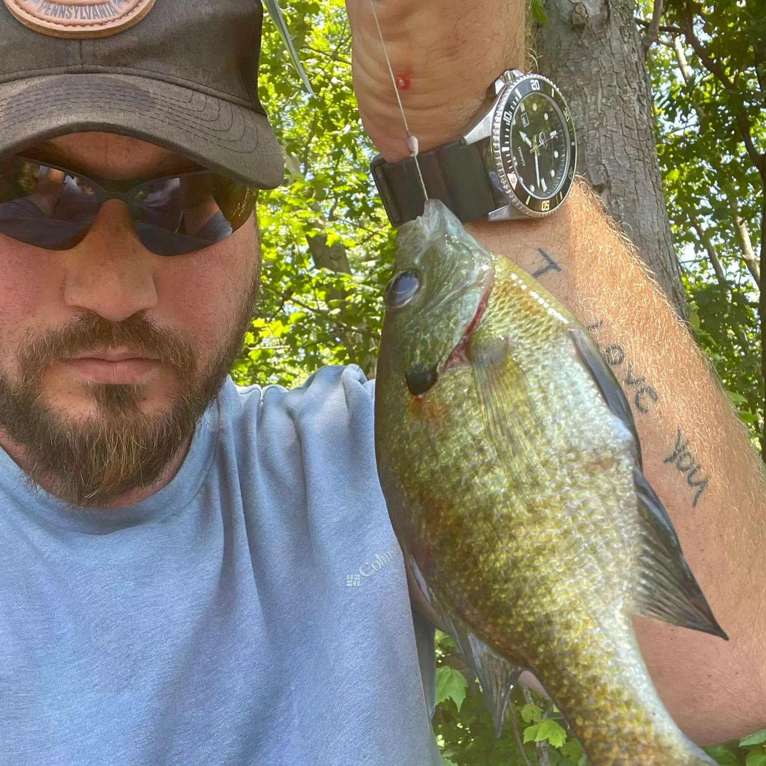 recently logged catches