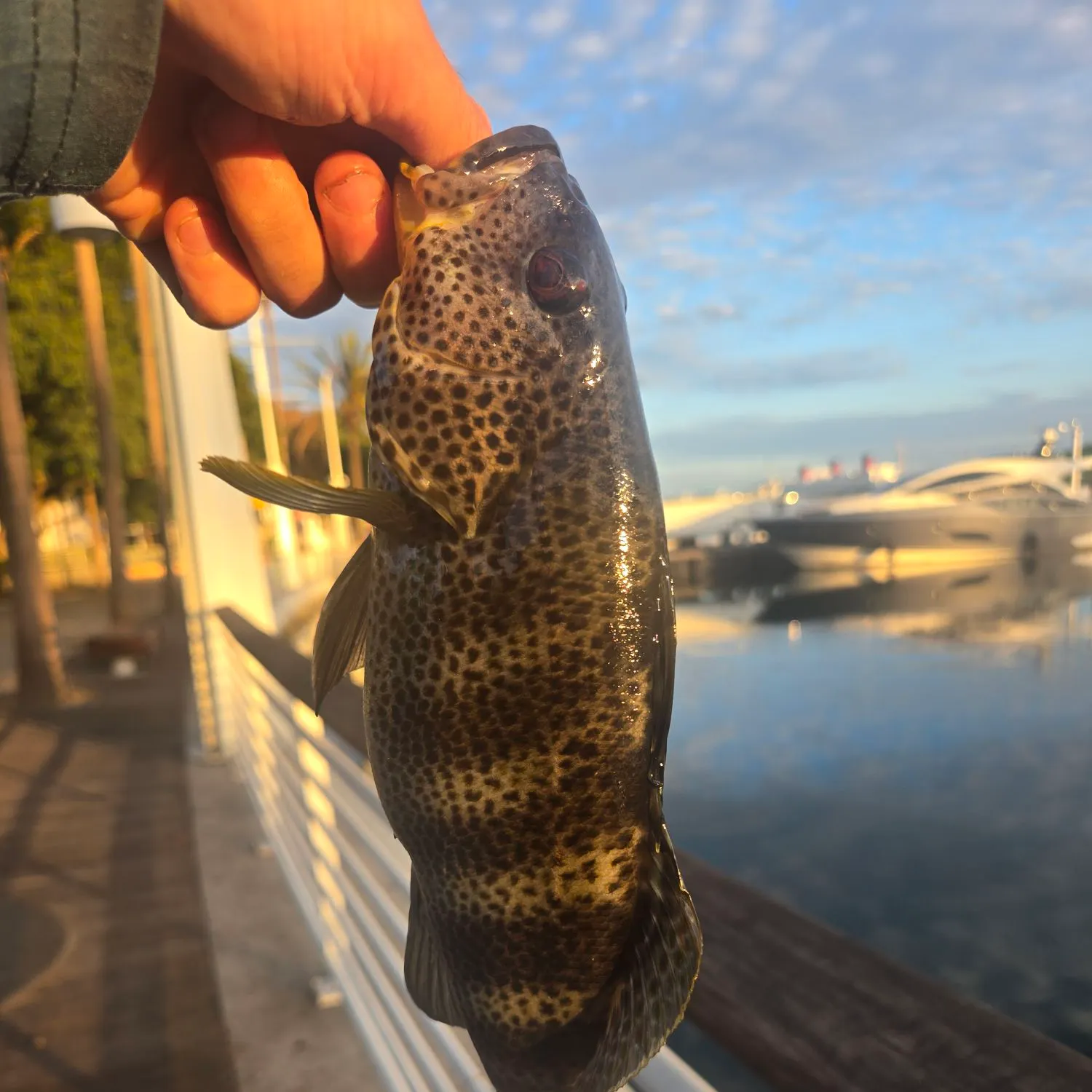 catch