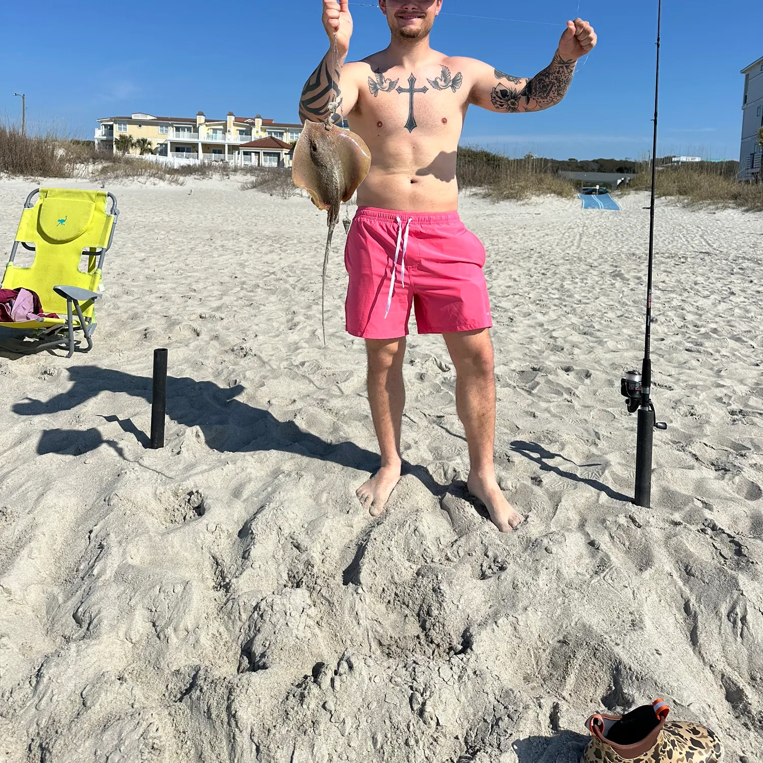 The most recent Southern stingray catches on Fishbrain