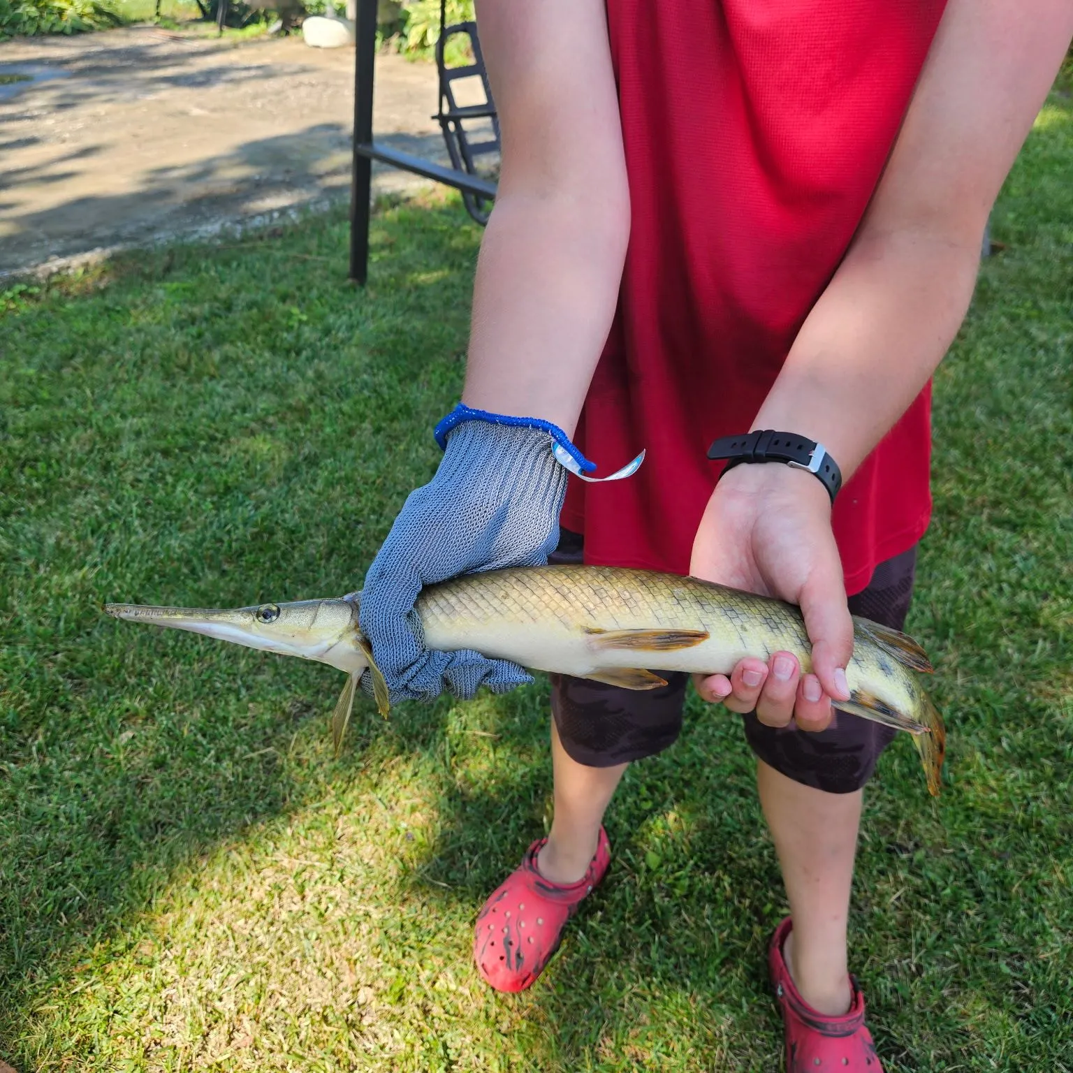 catch