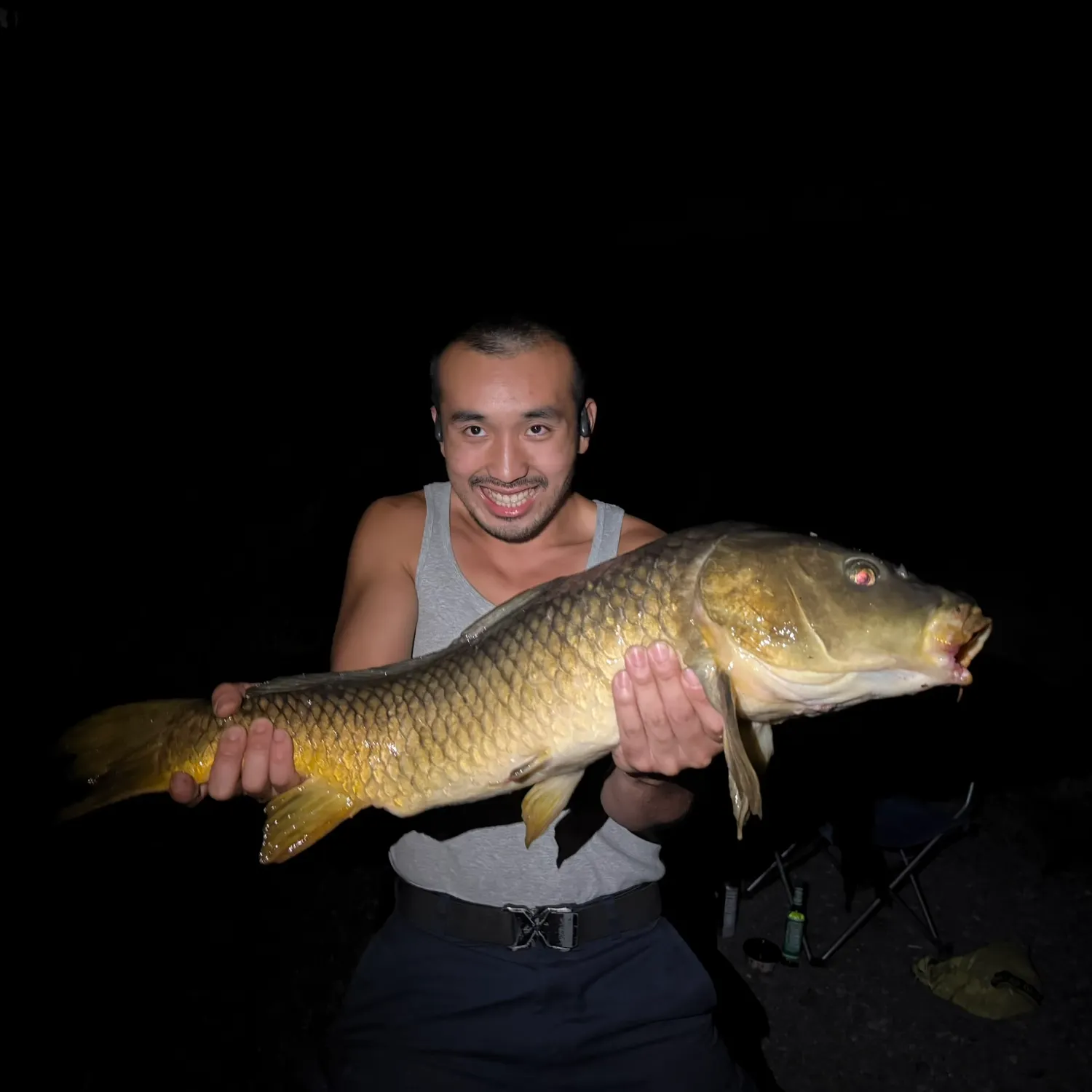Common carp caught on Fishbrain