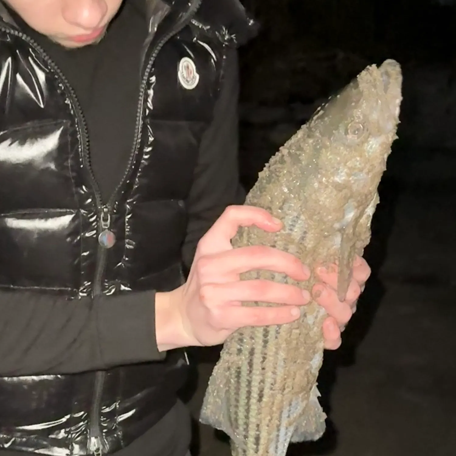 Striped bass caught on Fishbrain