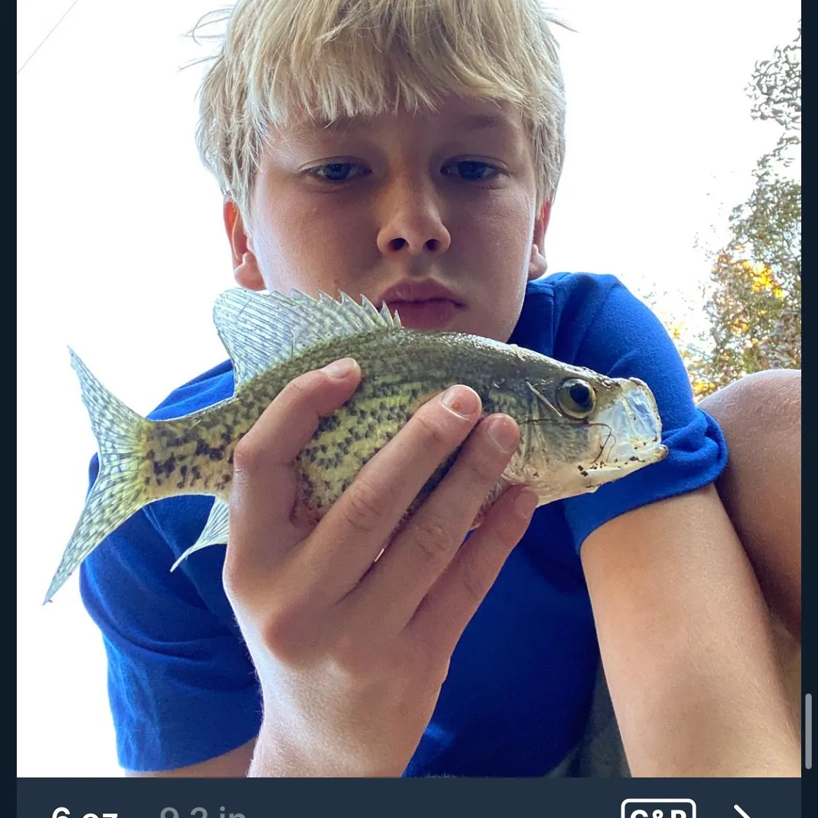 recently logged catches