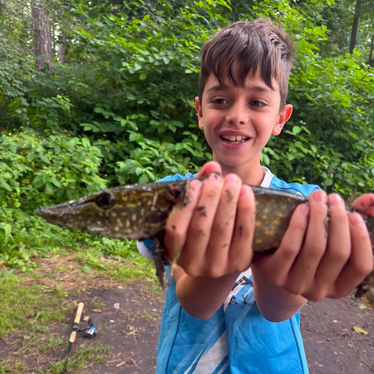 Northern pike caught on Fishbrain