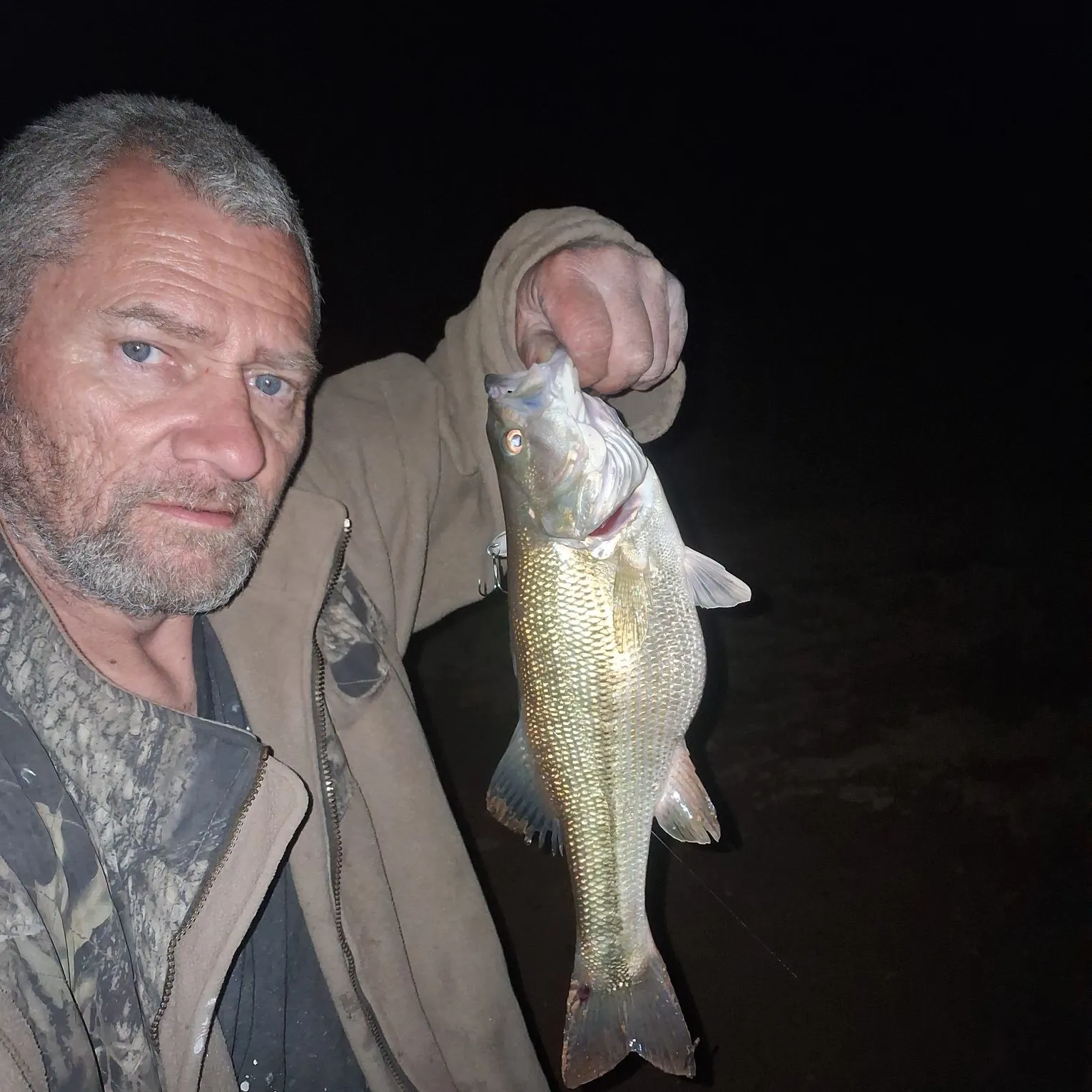 The most recent Spotted bass catches on Fishbrain