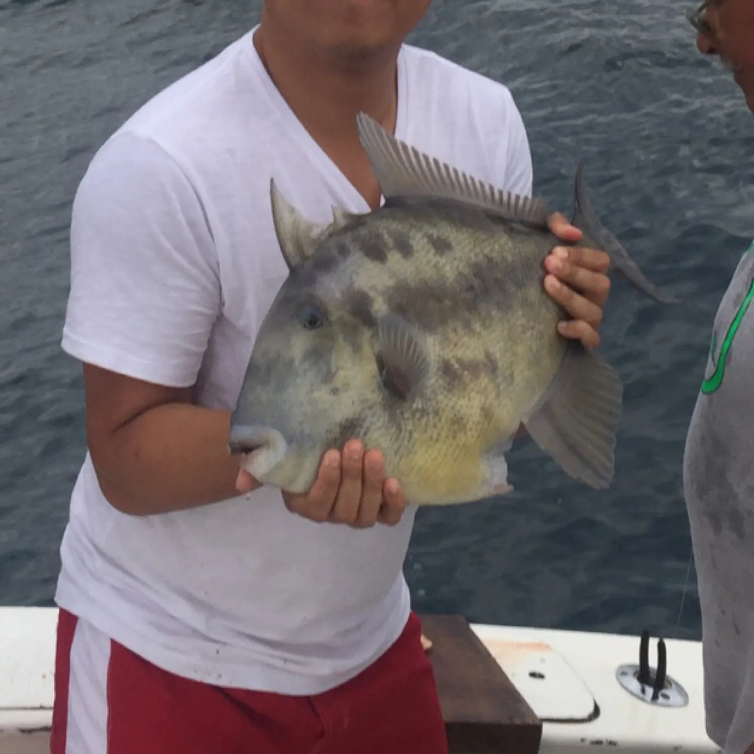 angler catch