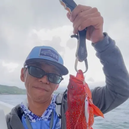 The most recent Spotted coralgrouper catches on Fishbrain