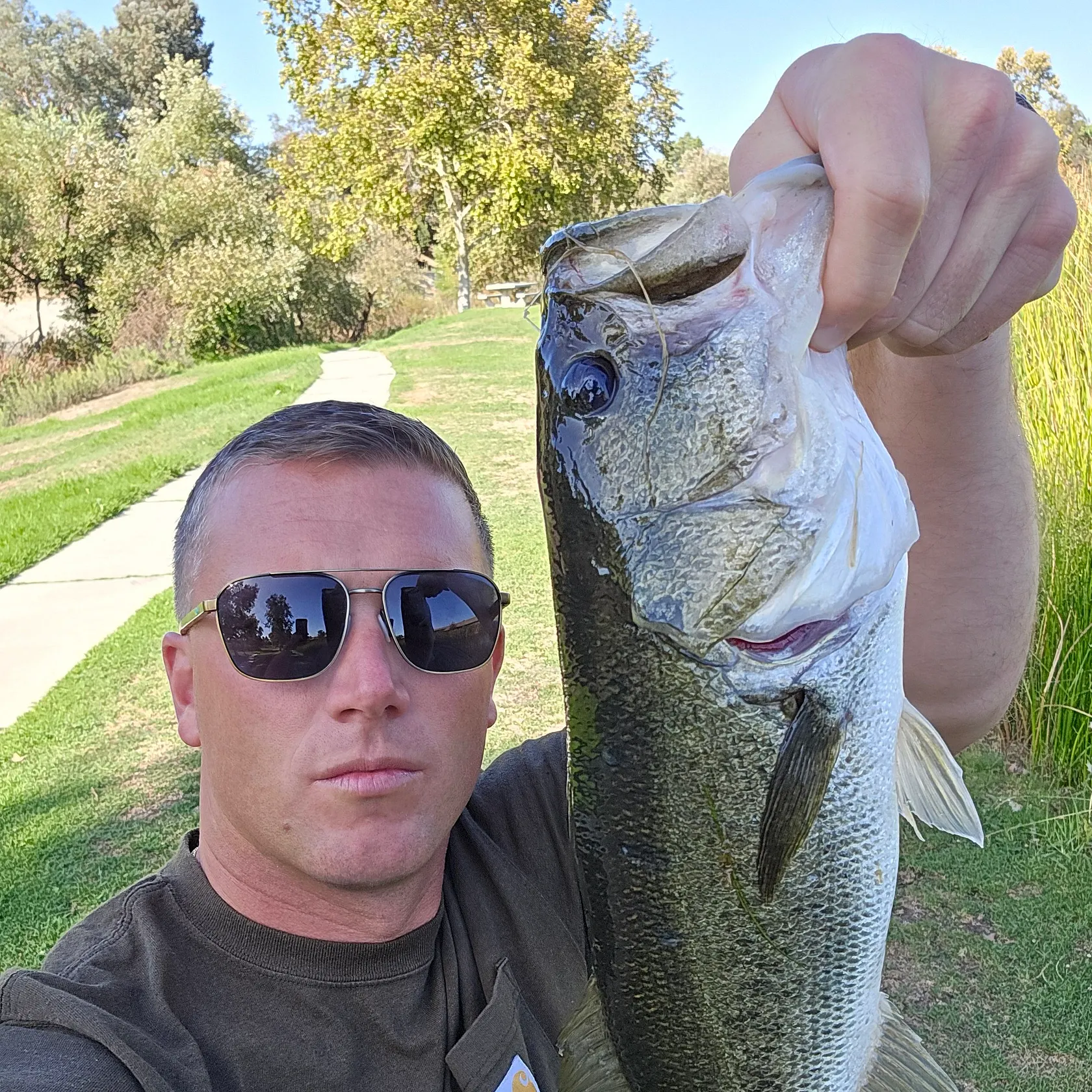 Largemouth bass caught on Fishbrain