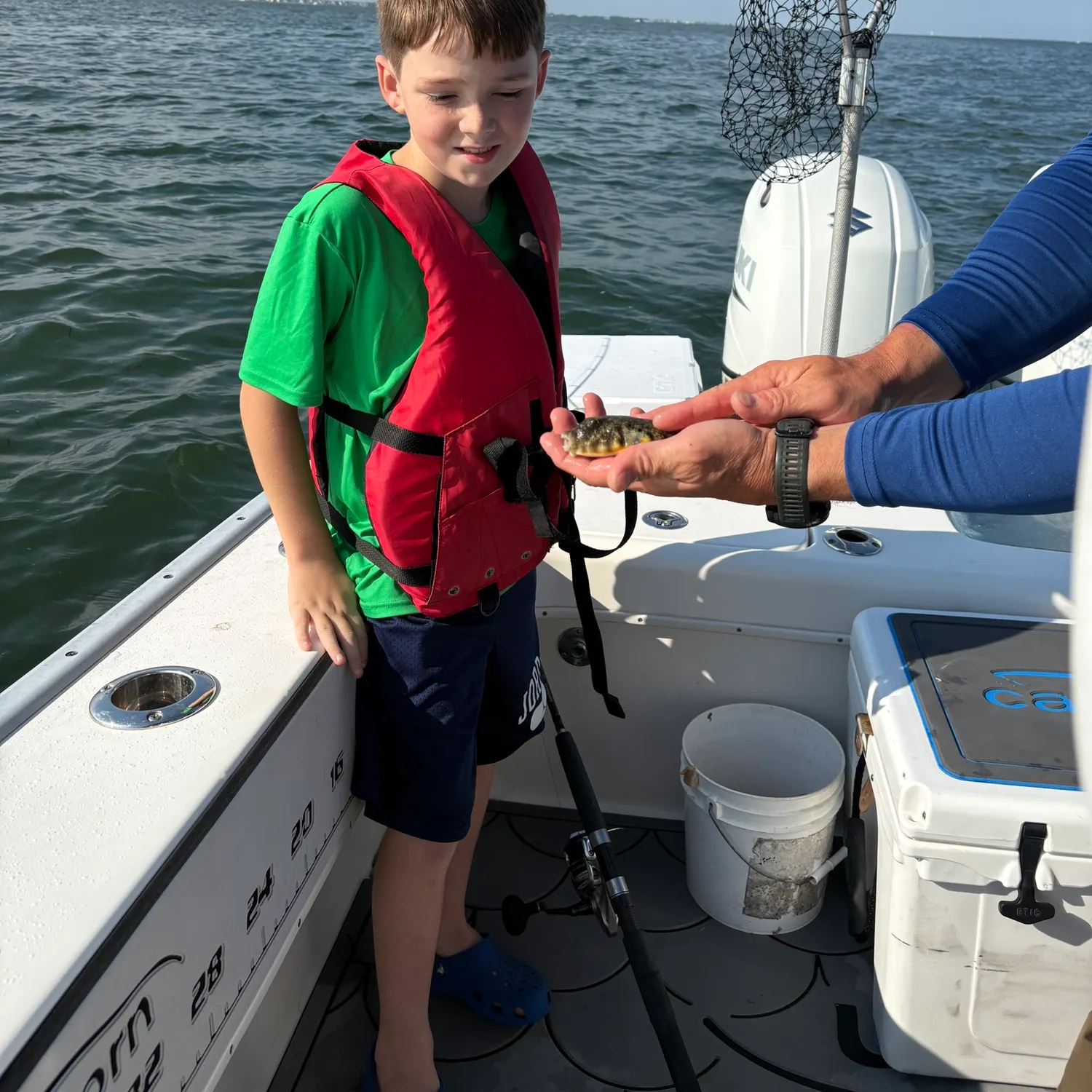 The most recent Southern puffer catches on Fishbrain