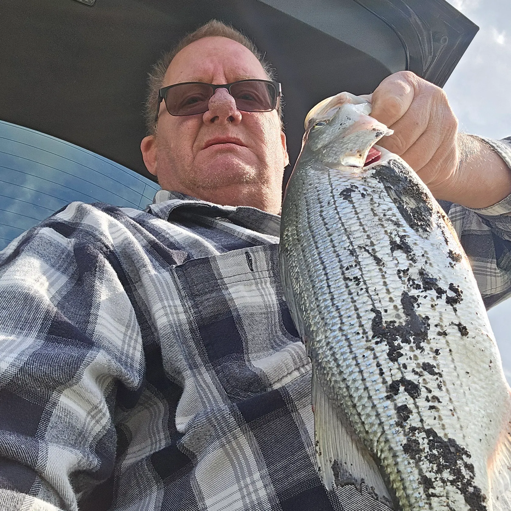 The most recent Striped bass catches on Fishbrain