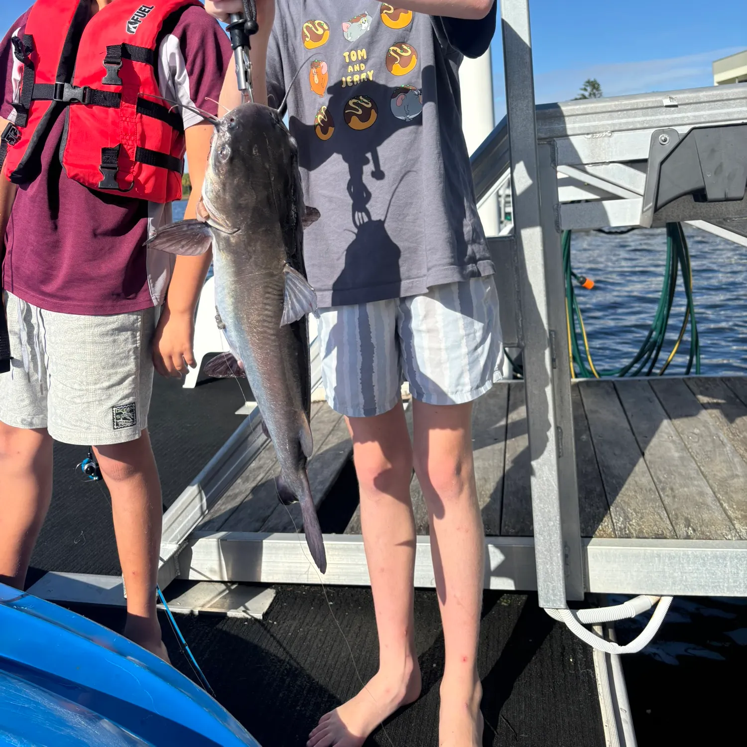 The most recent Giant sea catfish catches on Fishbrain