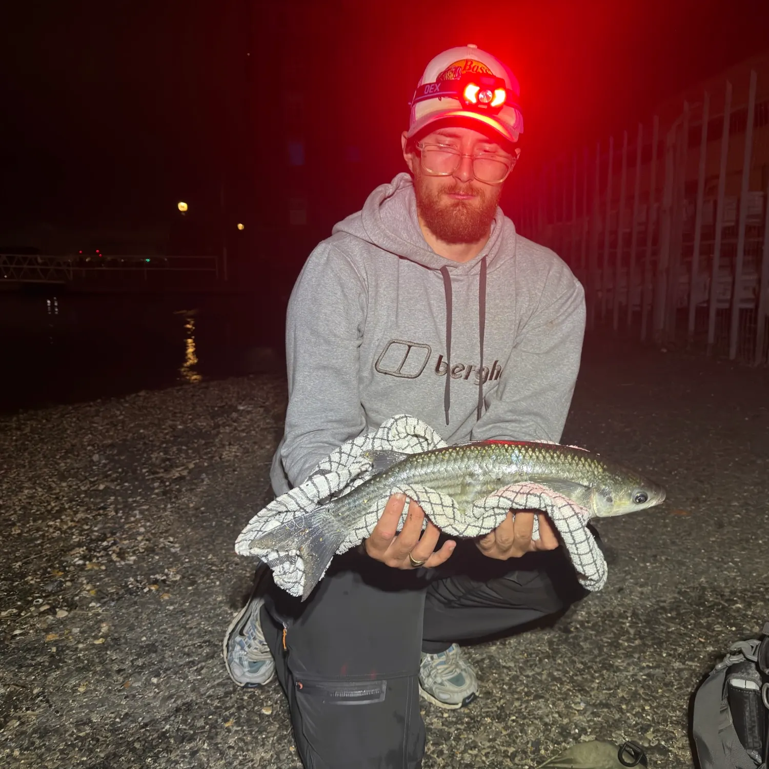 Thicklip grey mullet caught on Fishbrain