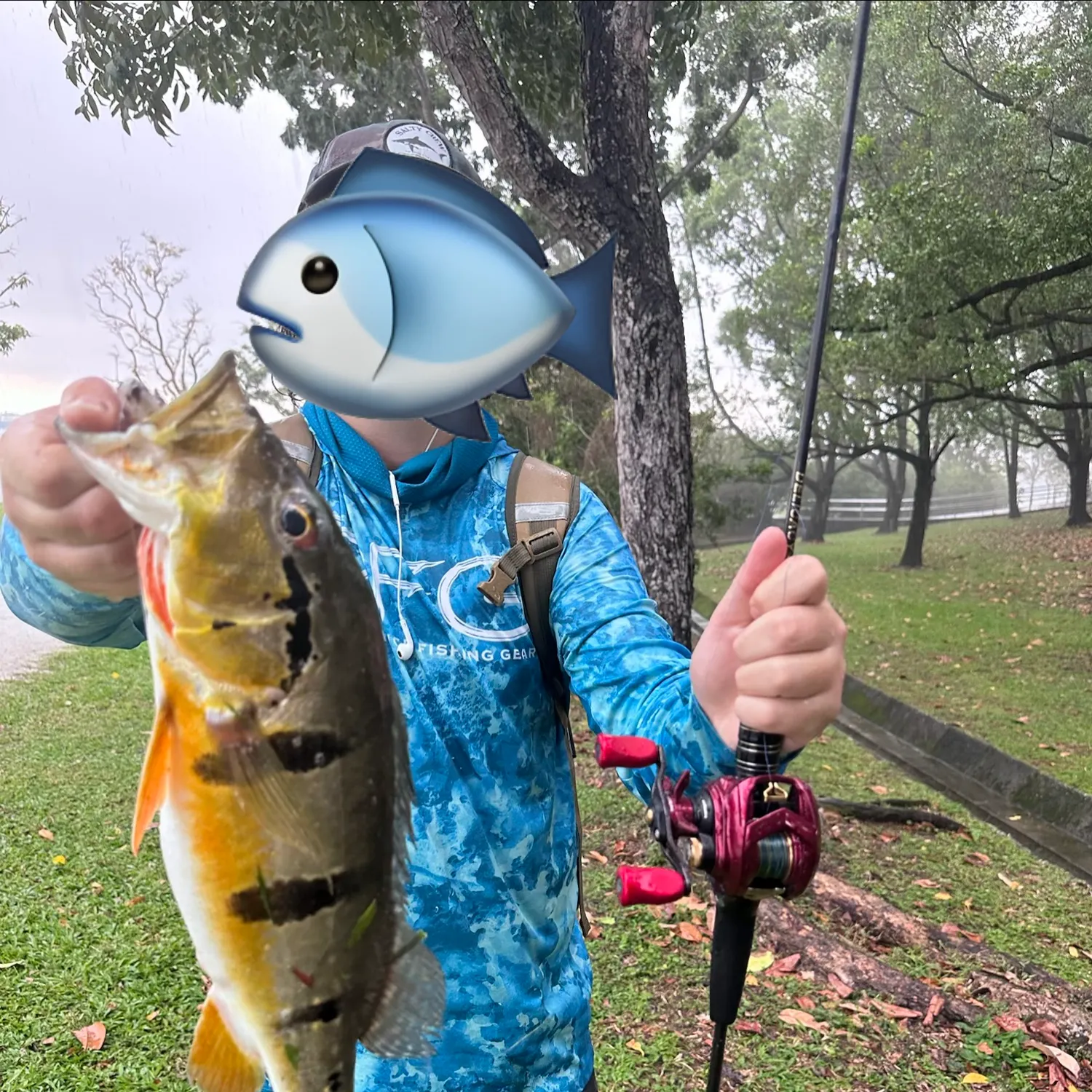 The most recent Speckled peacock bass catches on Fishbrain