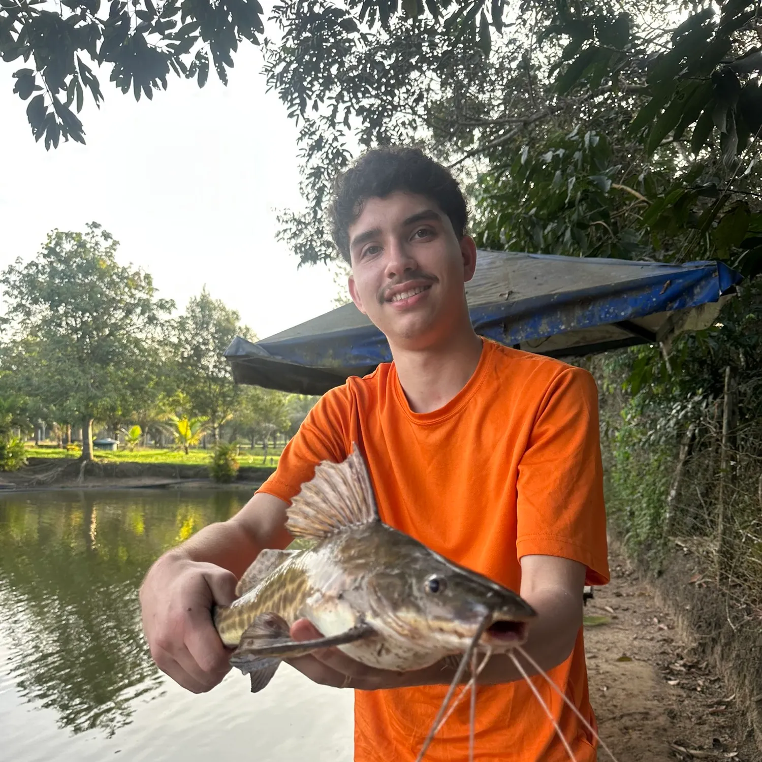 most liked catch image
