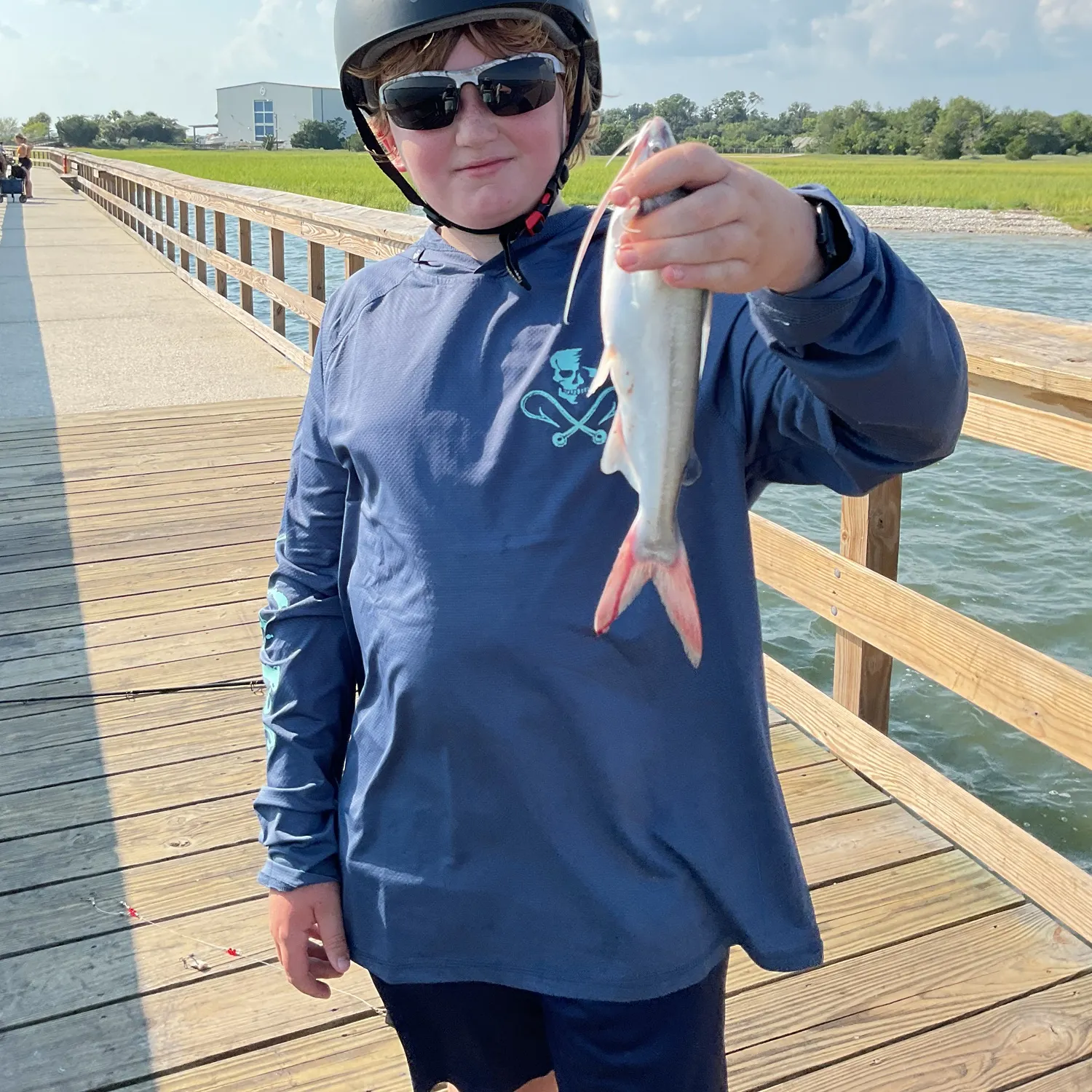 Gafftopsail sea catfish caught on Fishbrain