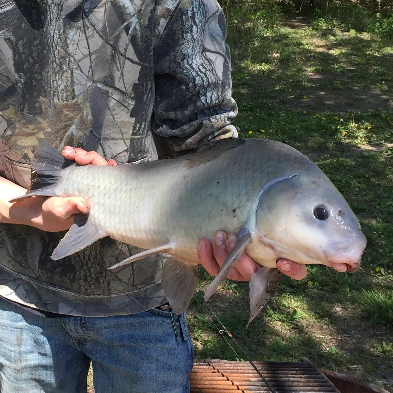 The most recent Smallmouth x black buffalo catches on Fishbrain