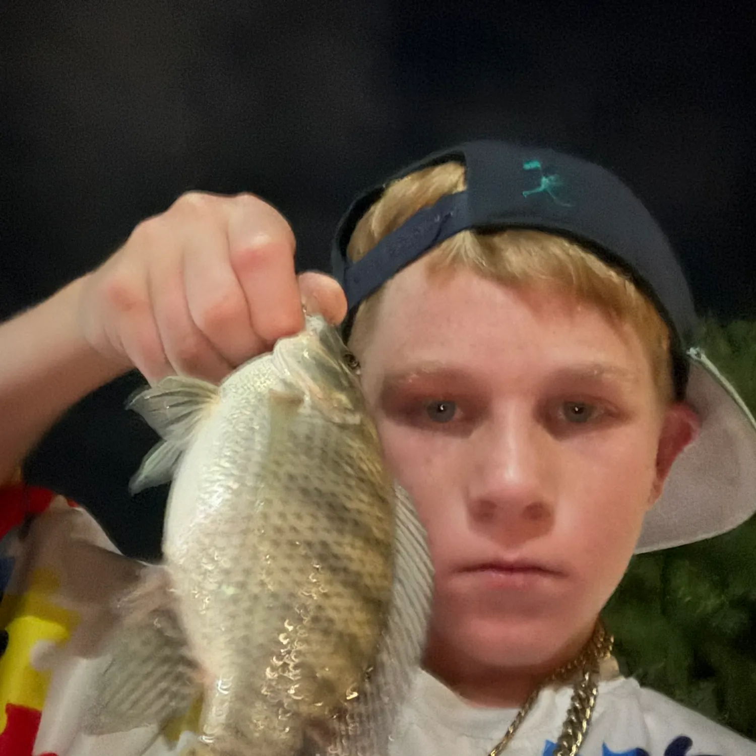 Nile tilapia caught on Fishbrain