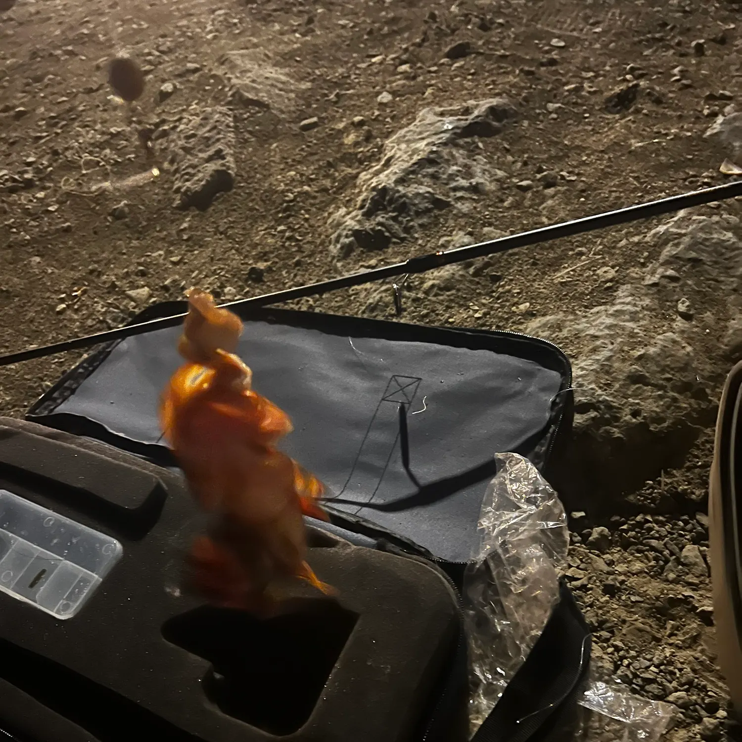 Spotted scorpionfish caught on Fishbrain