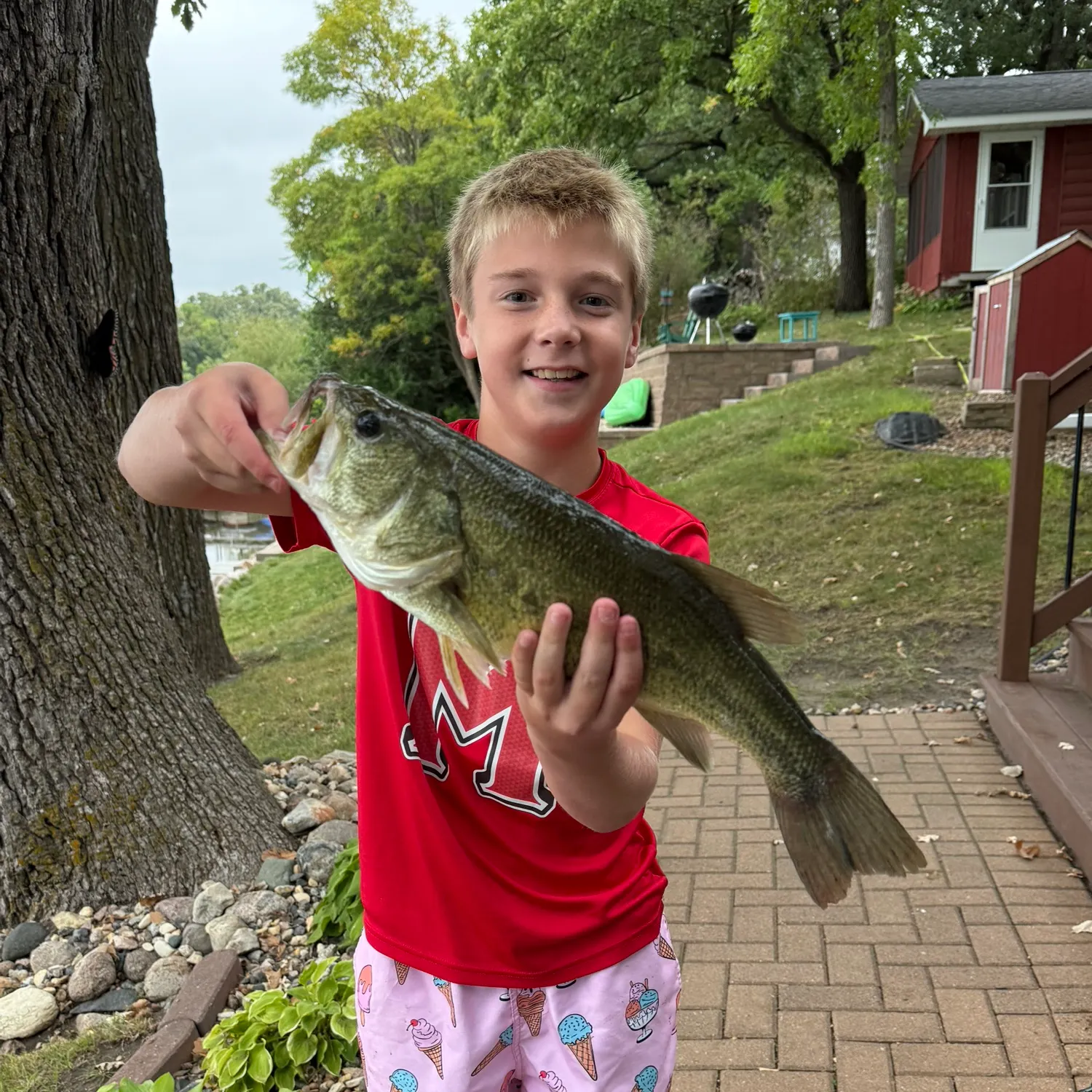 Largemouth bass caught on Fishbrain