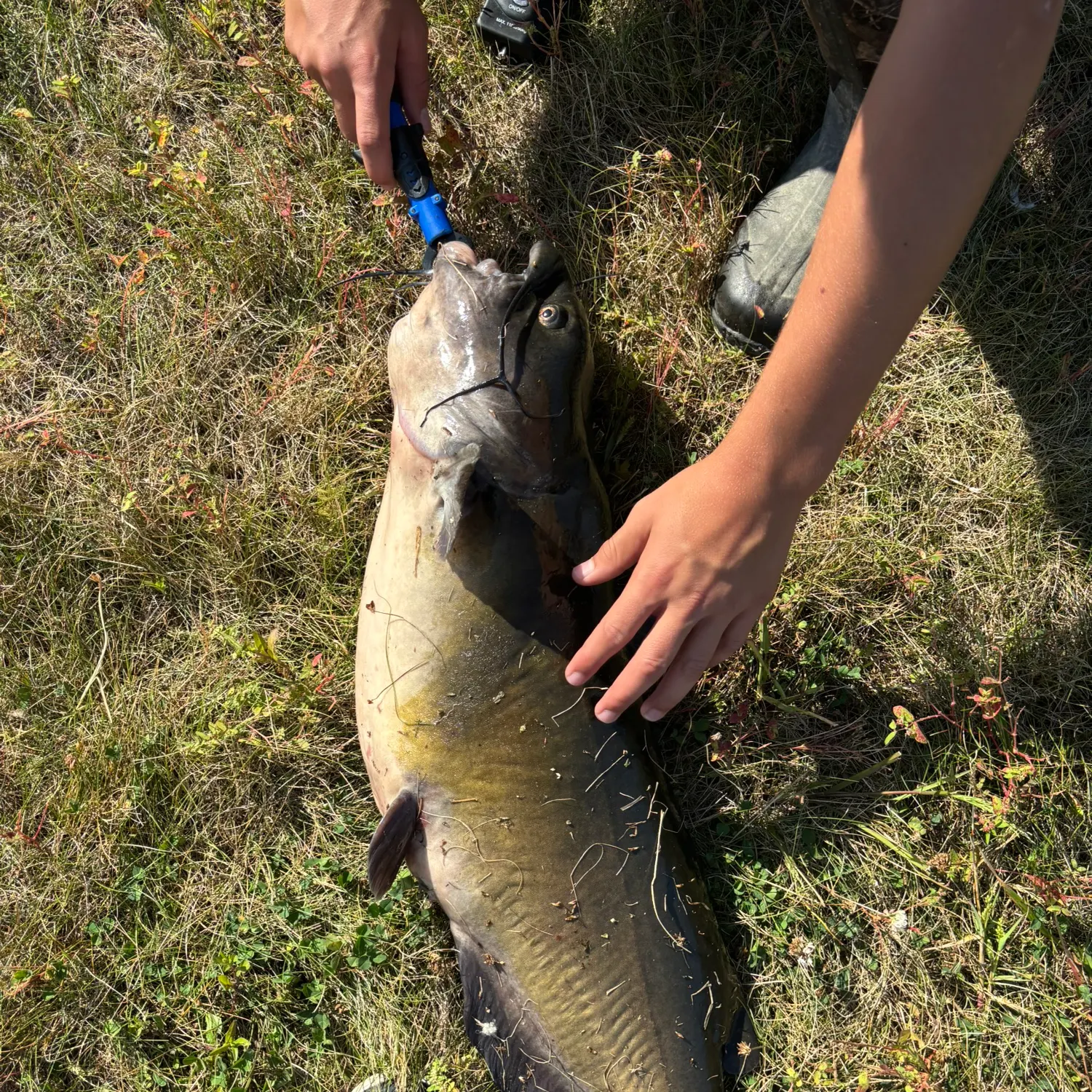catch