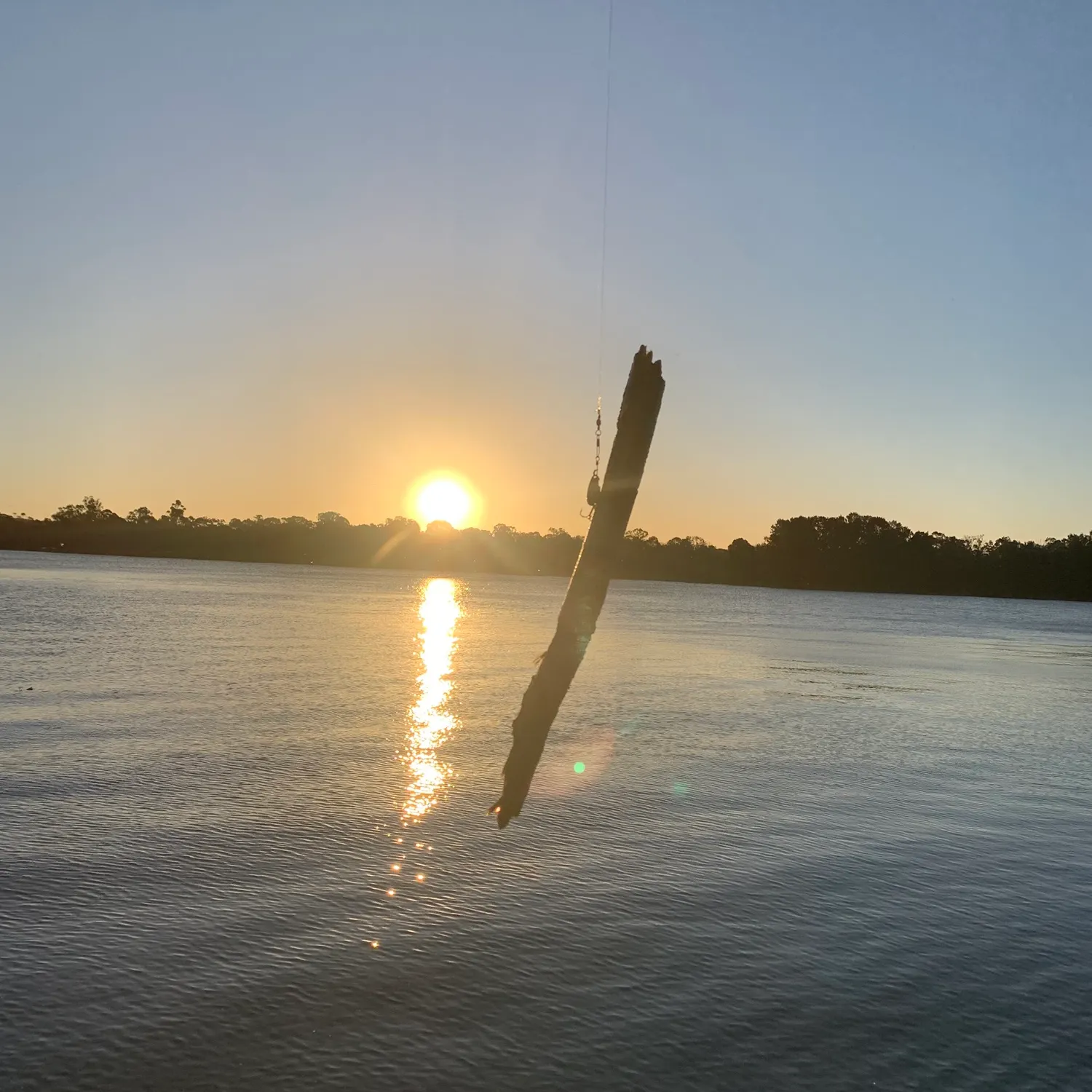 The most recent Sea stickleback catches on Fishbrain