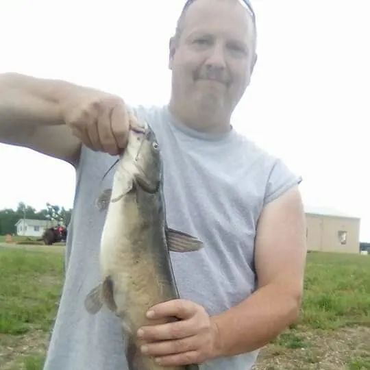 Channel catfish caught on Fishbrain