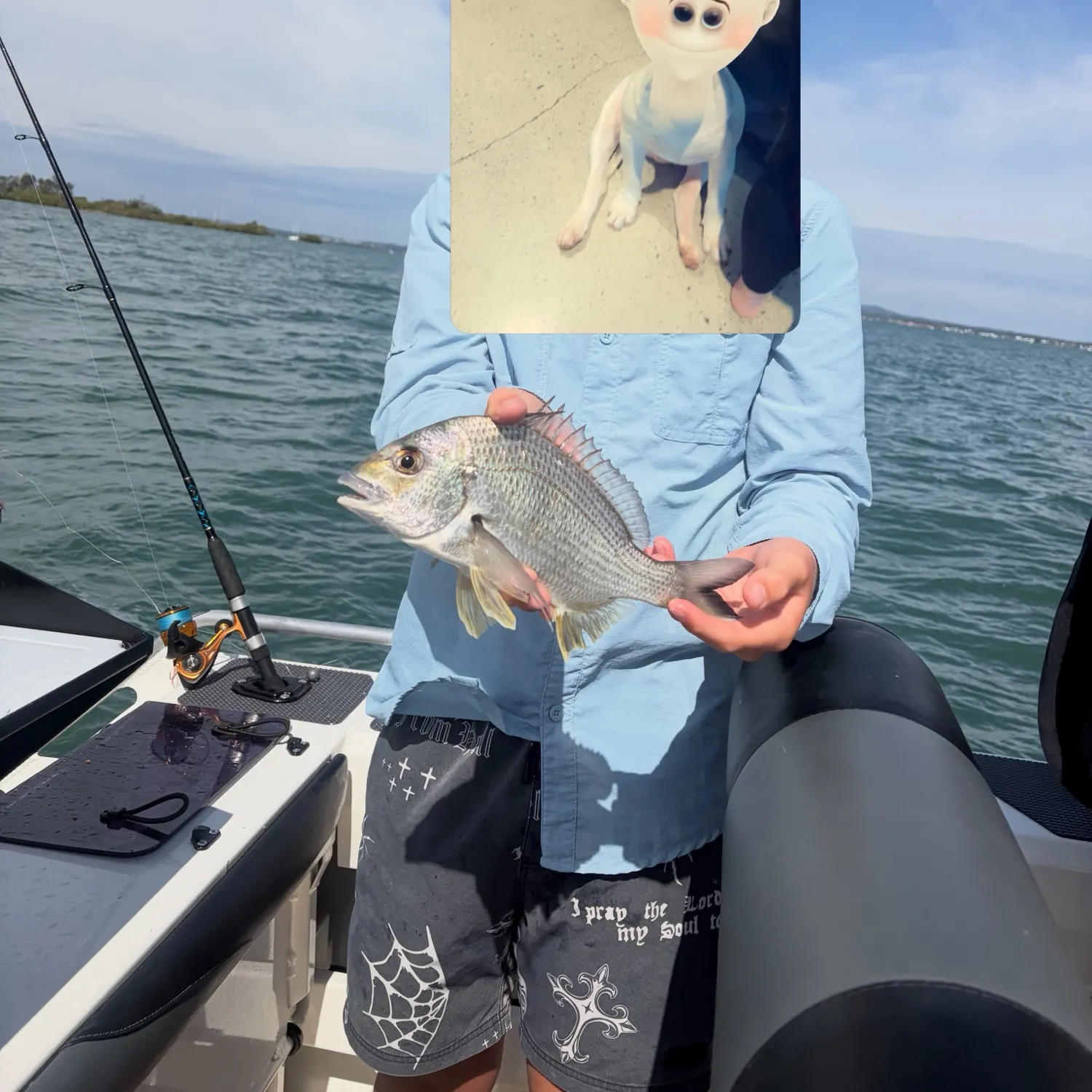 Surf bream caught on Fishbrain