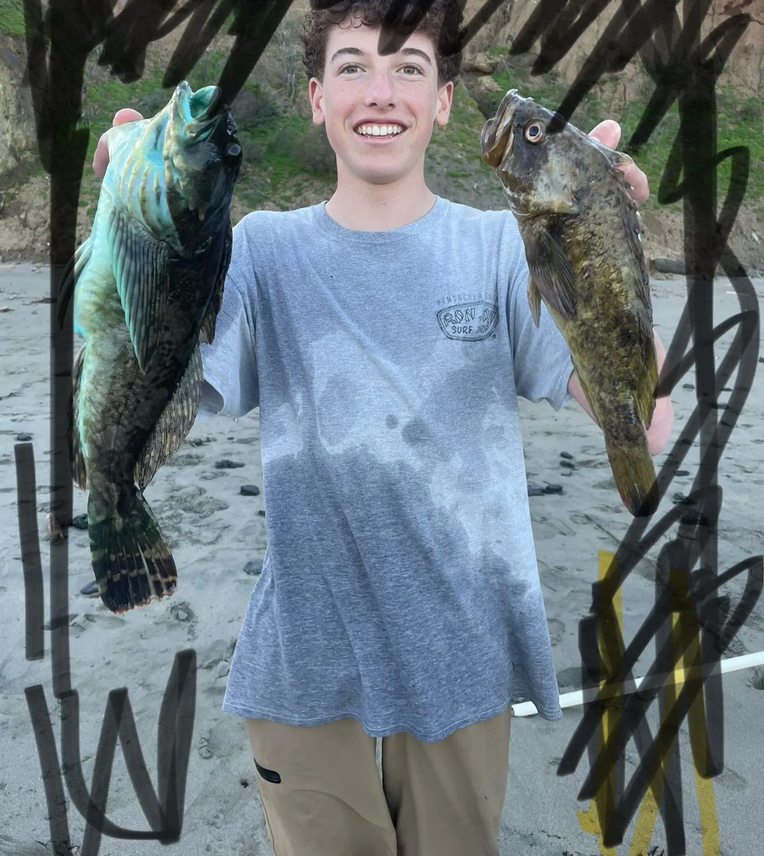 recently logged catches