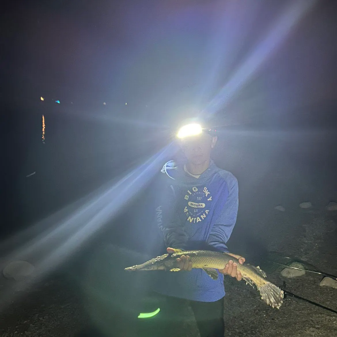 Shortnose gar caught on Fishbrain