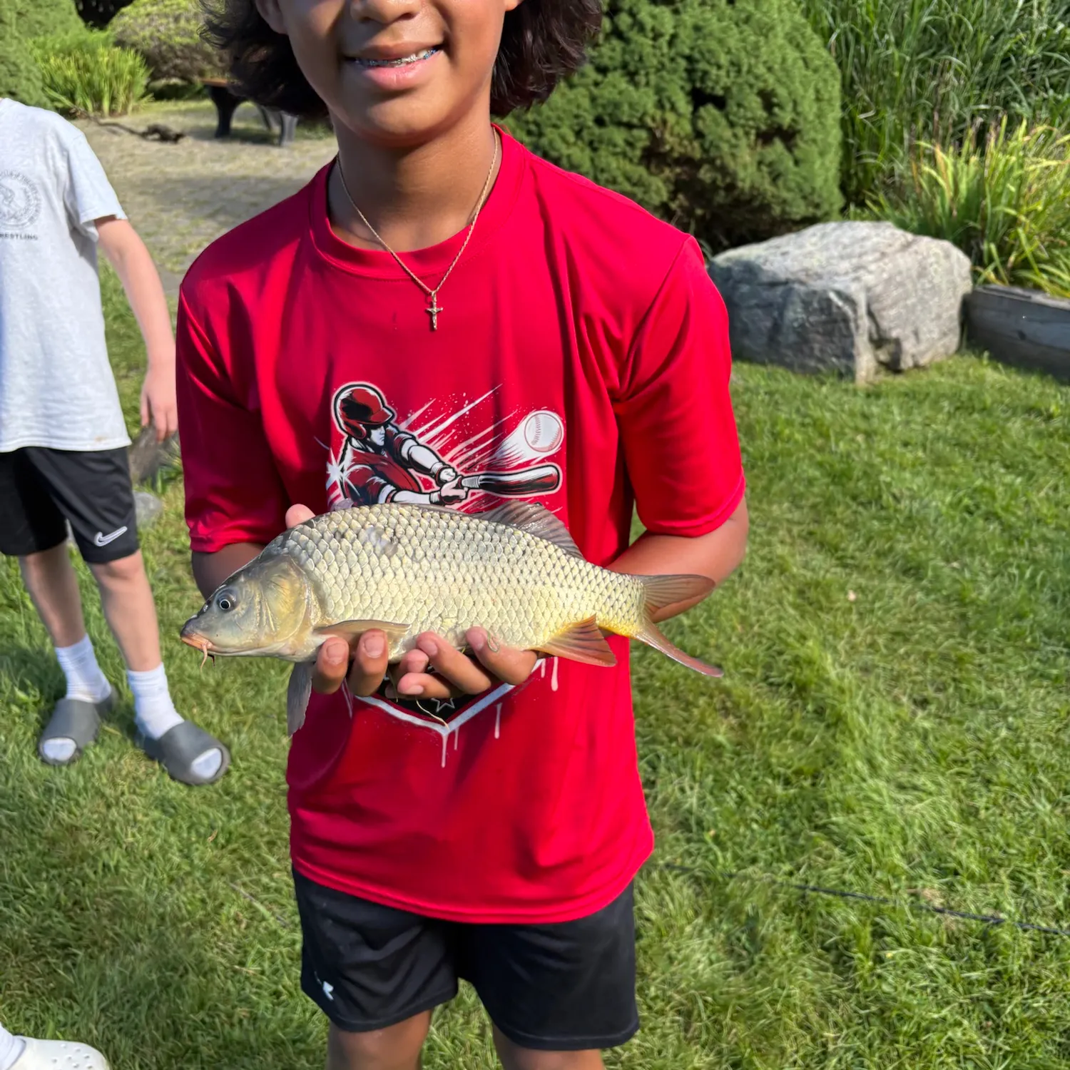 Common carp caught on Fishbrain