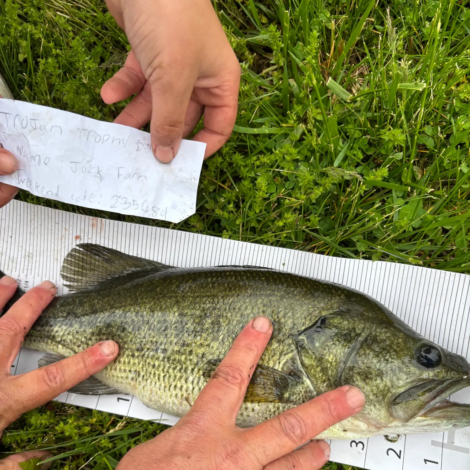 recently logged catches