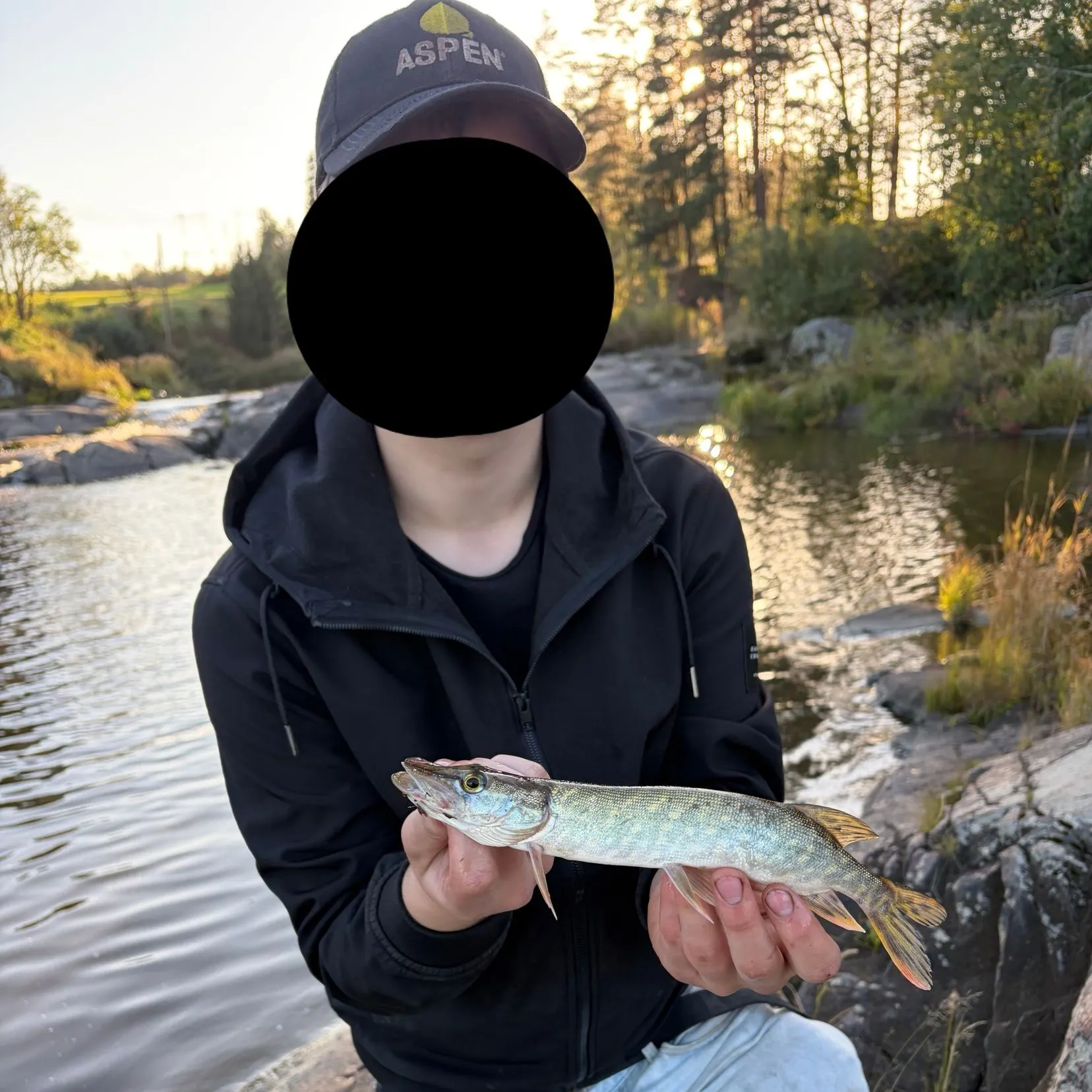 Northern pike caught on Fishbrain