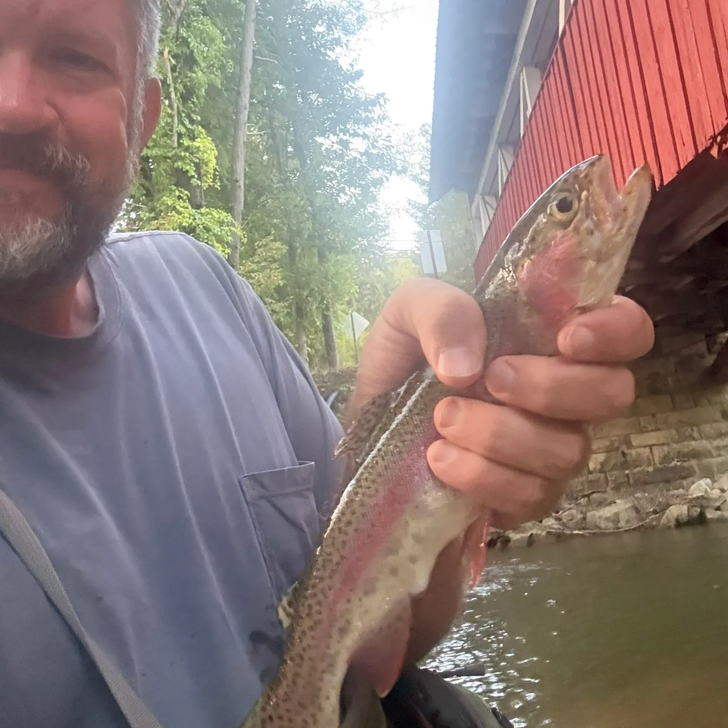 Rainbow trout caught on Fishbrain