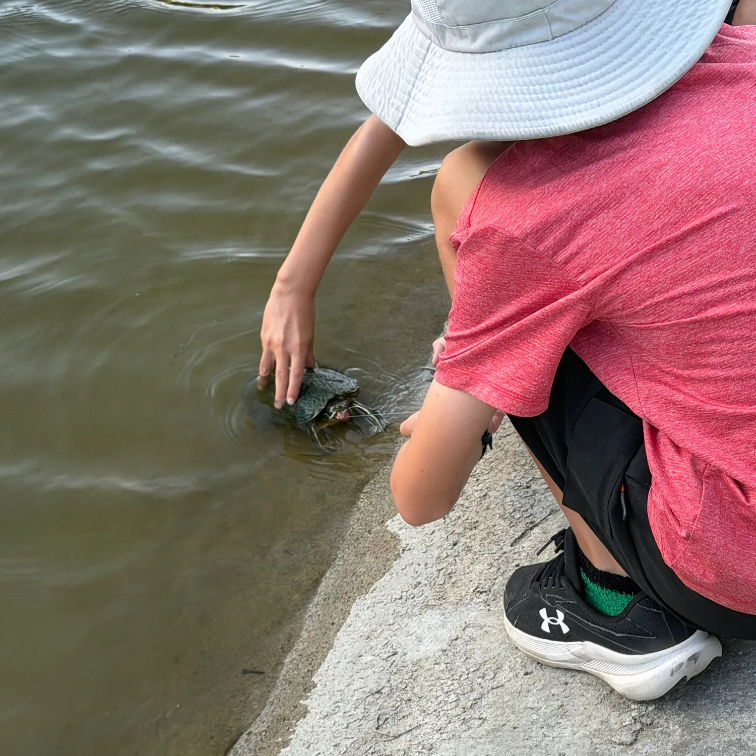 Pond slider turtle caught on Fishbrain