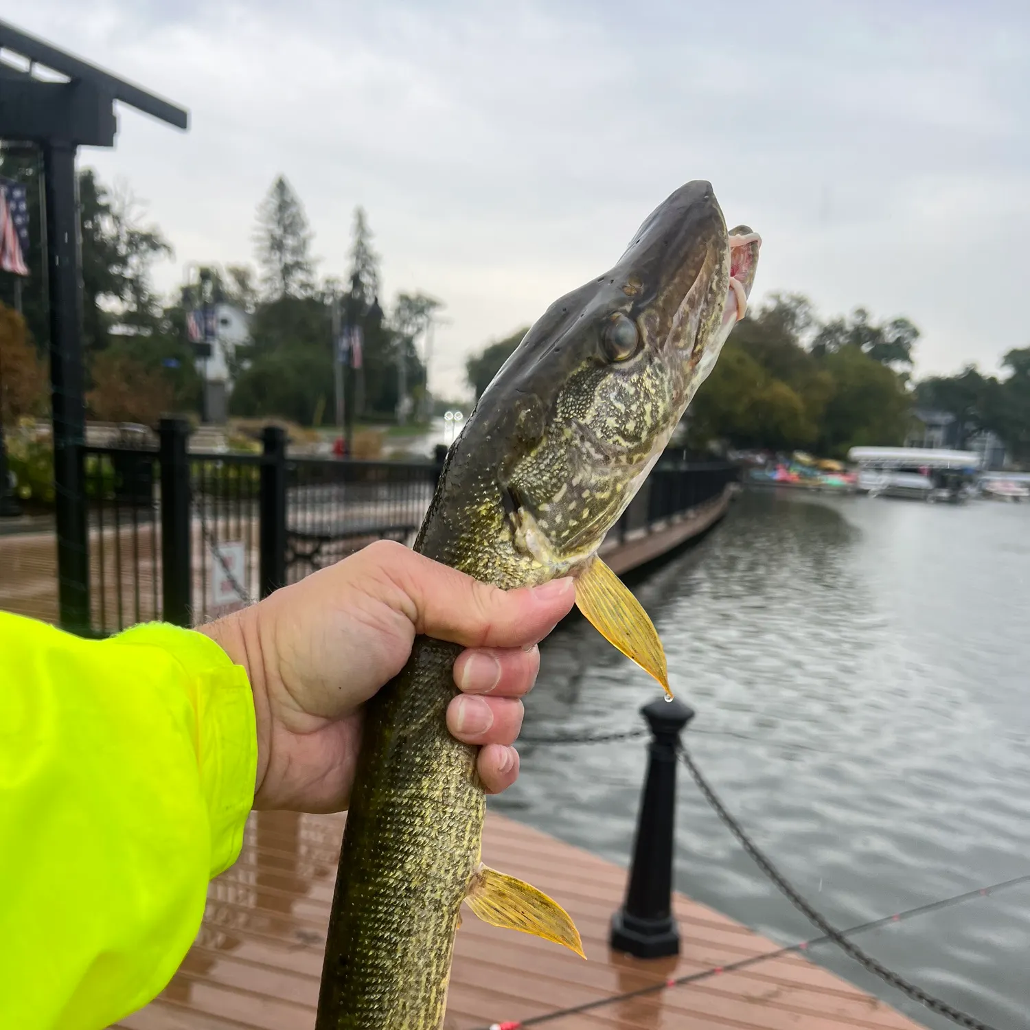 catch