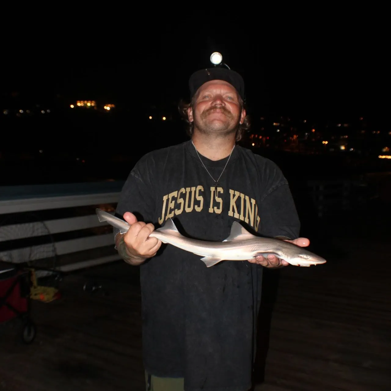 Grey smooth-hound caught on Fishbrain