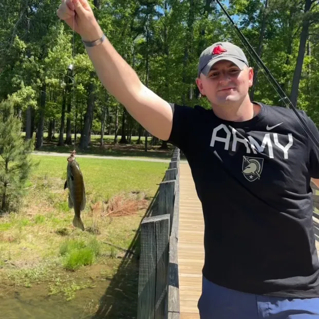 The most recent Bluegill catches on Fishbrain