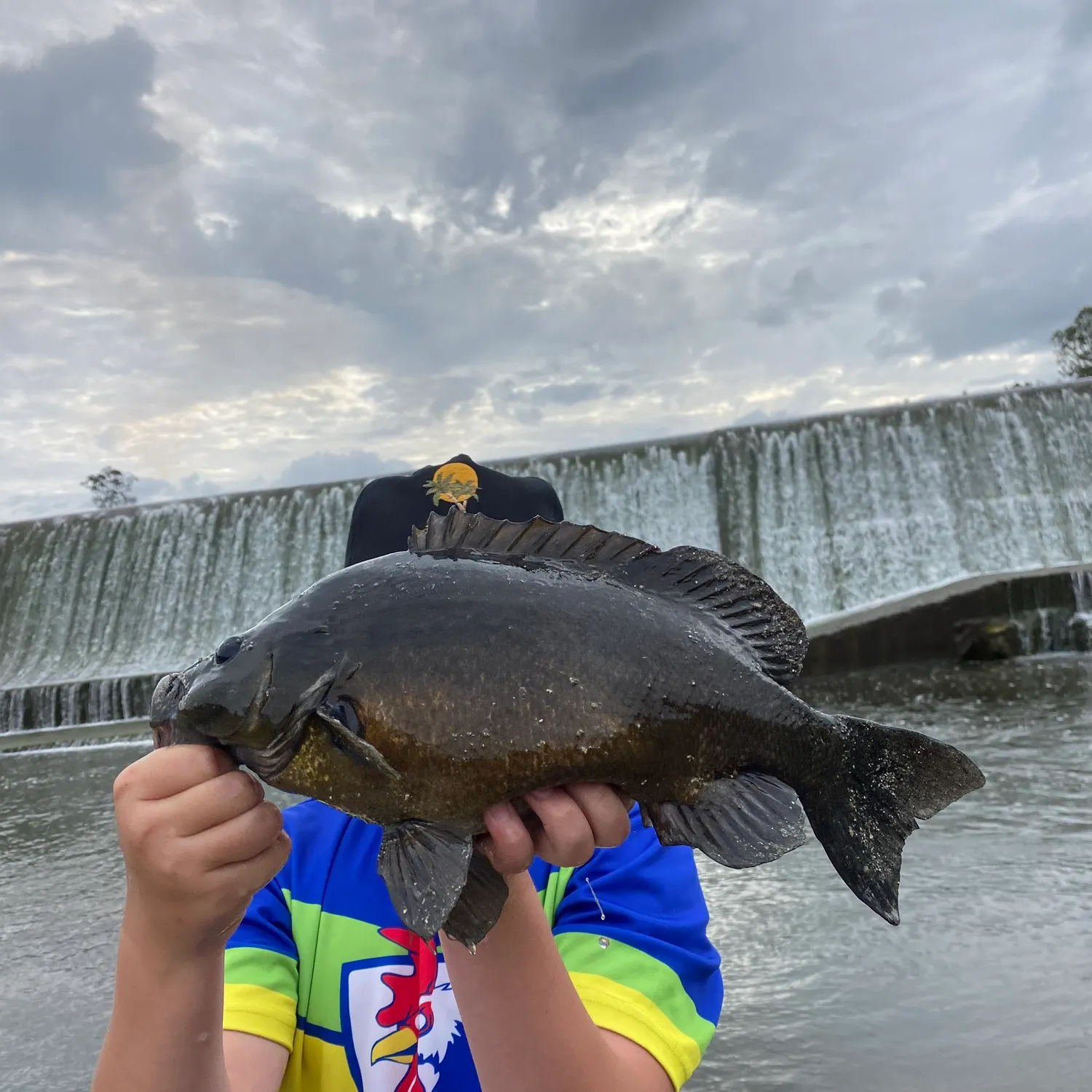 most liked catch image