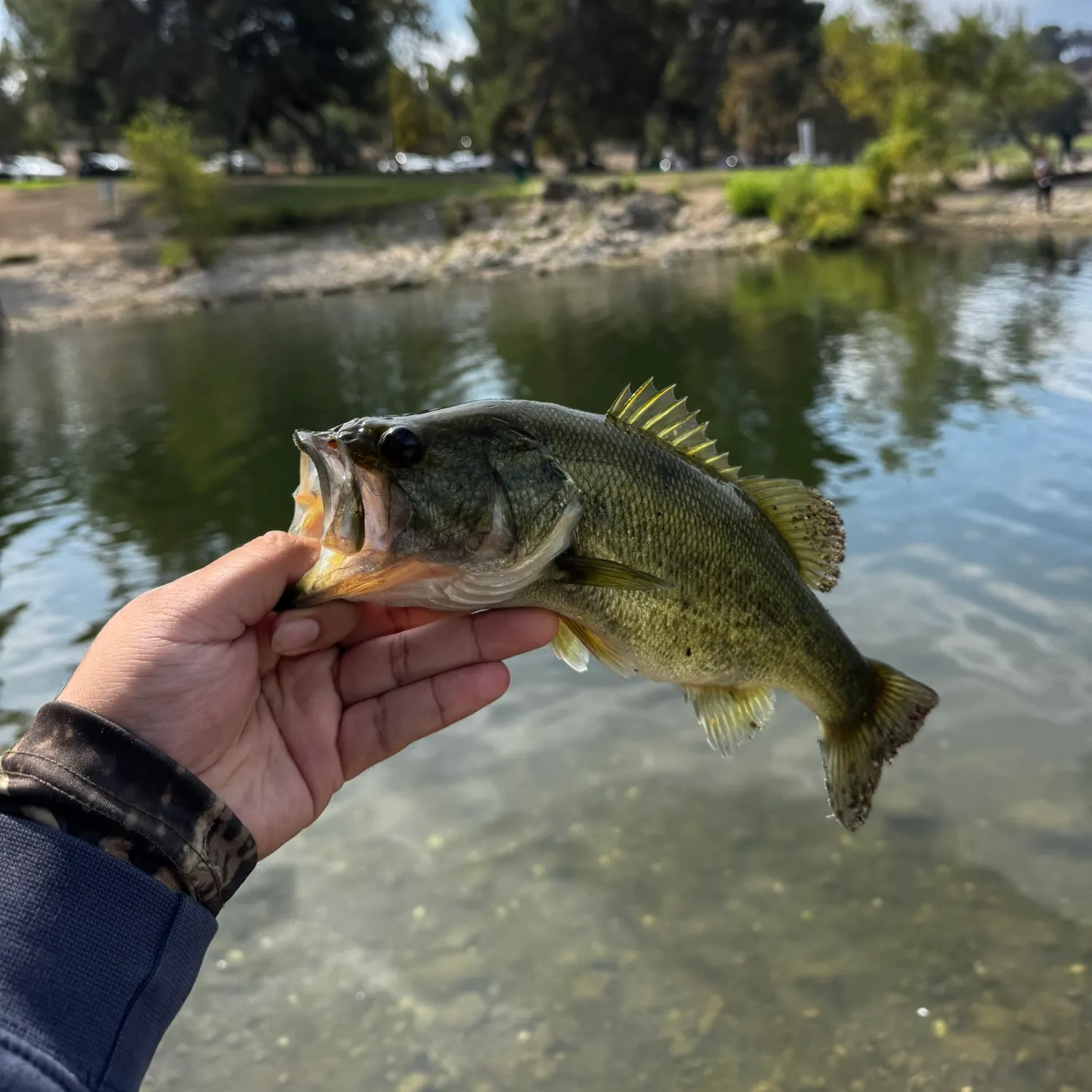 catch