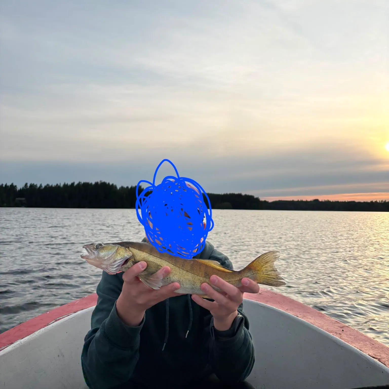 Zander caught on Fishbrain