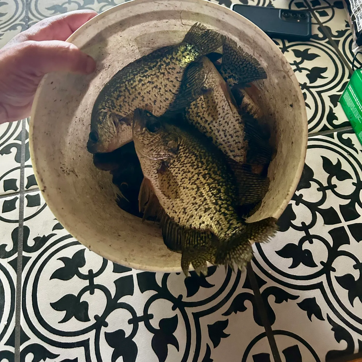 catch