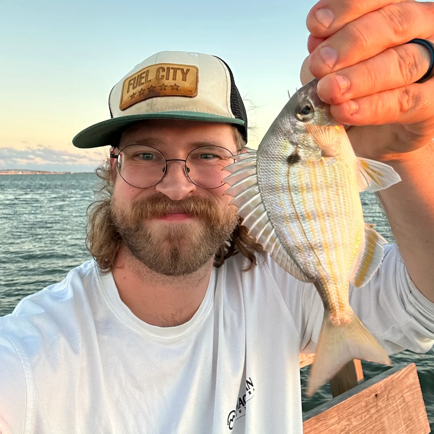 Pinfish caught on Fishbrain