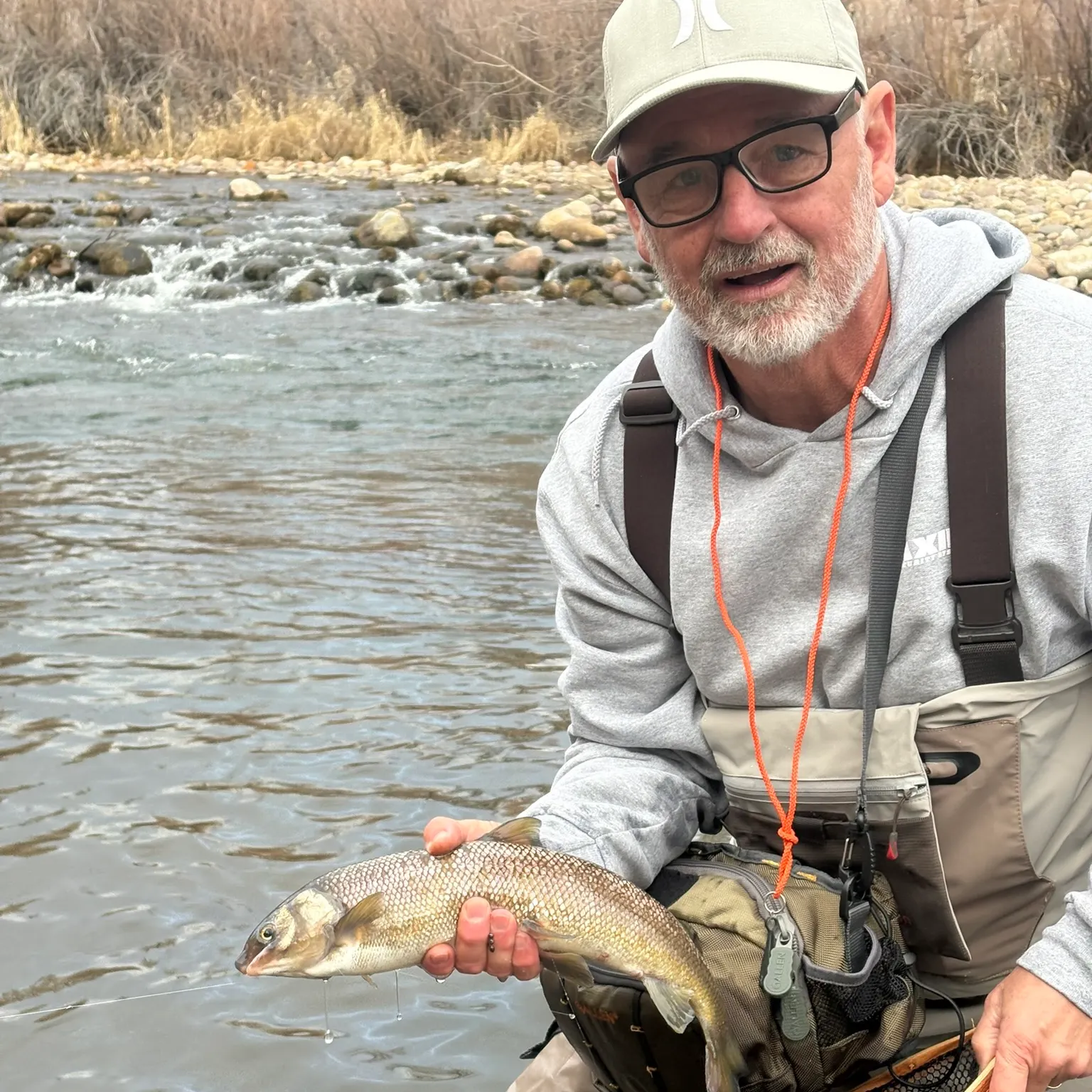 The most recent Mountain whitefish catches on Fishbrain