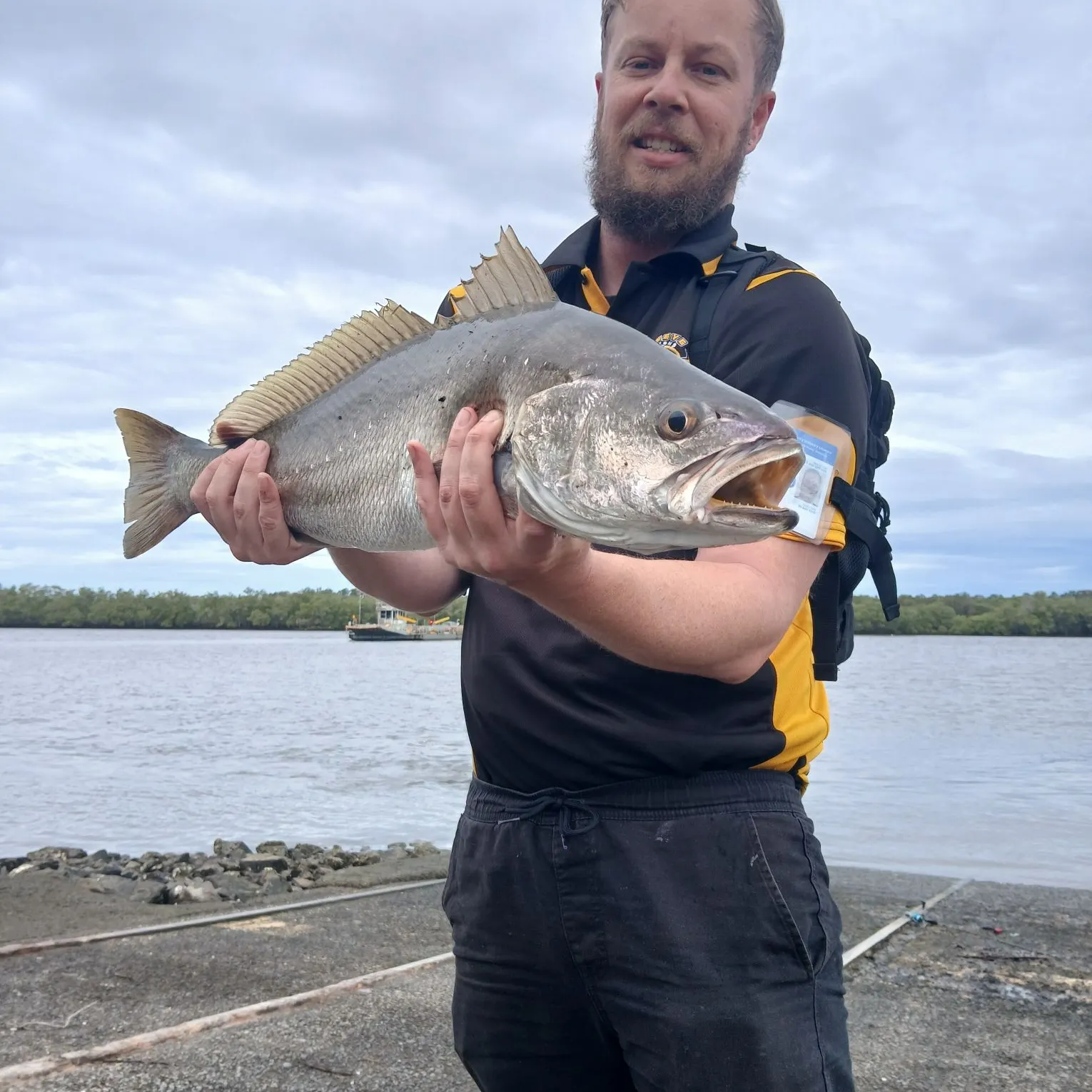 The most recent Japanese meagre catches on Fishbrain