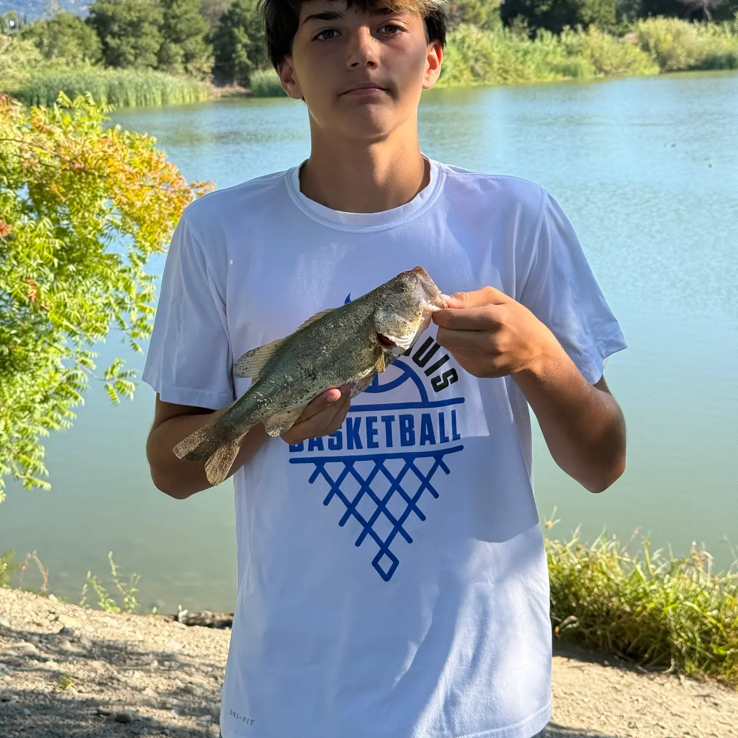 Spotted bass caught on Fishbrain
