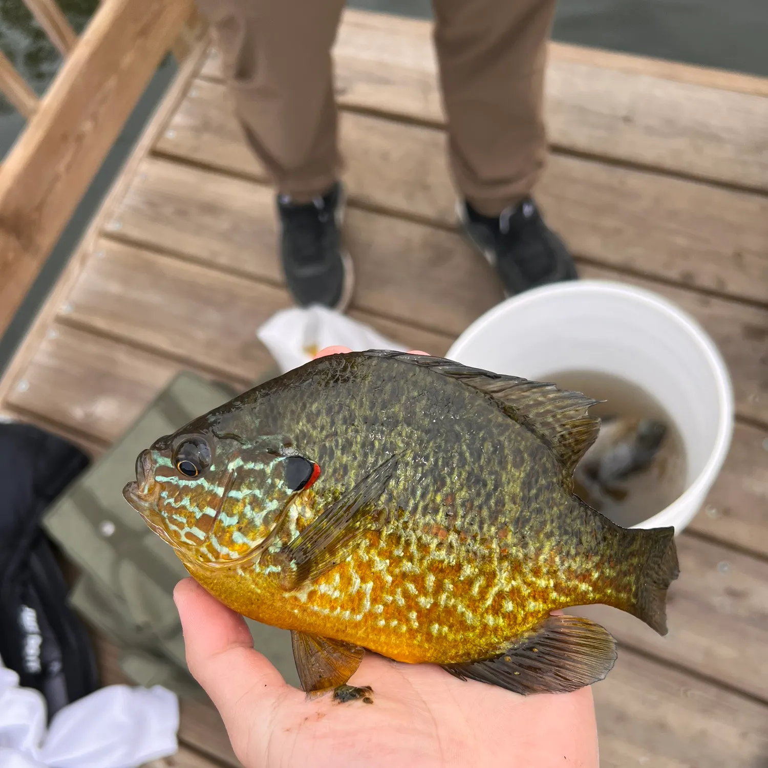 catch