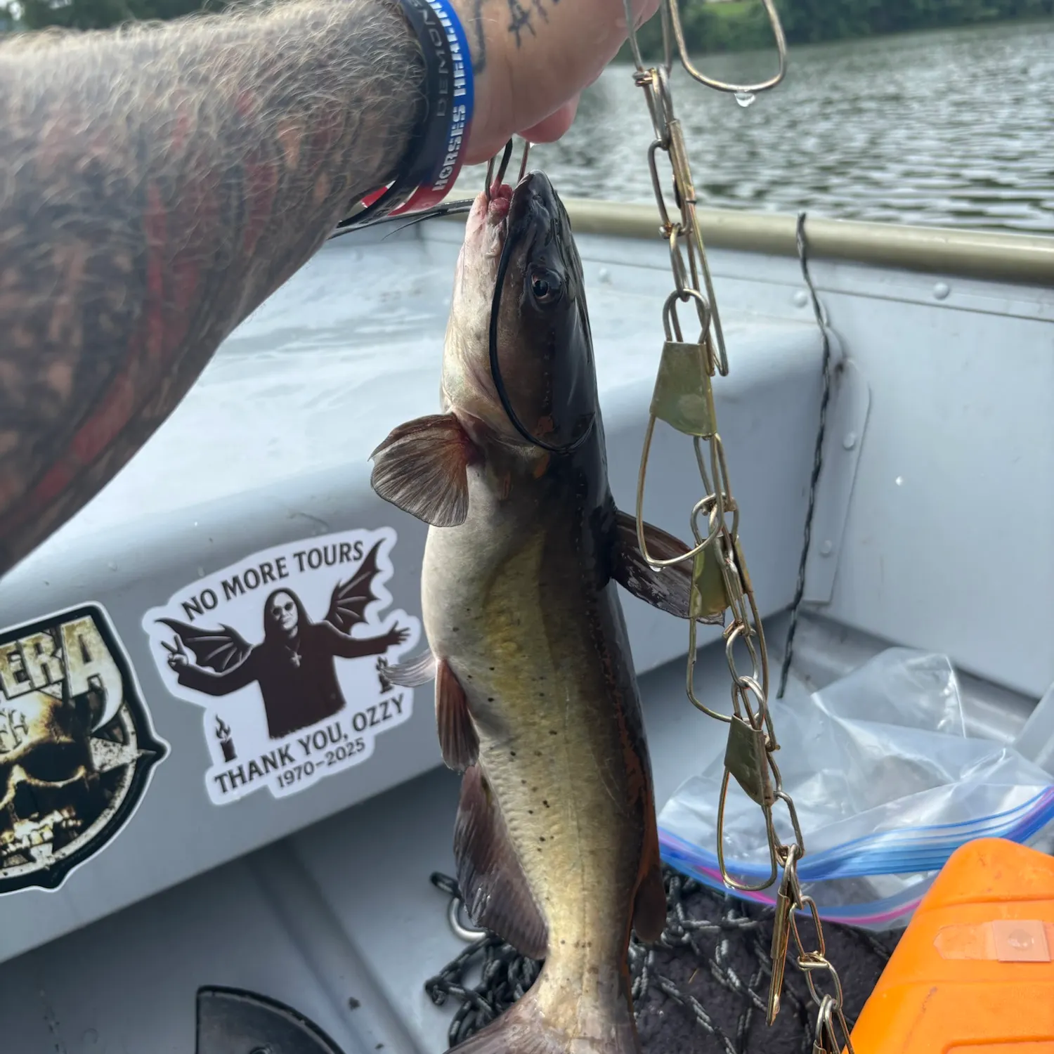 recently logged catches