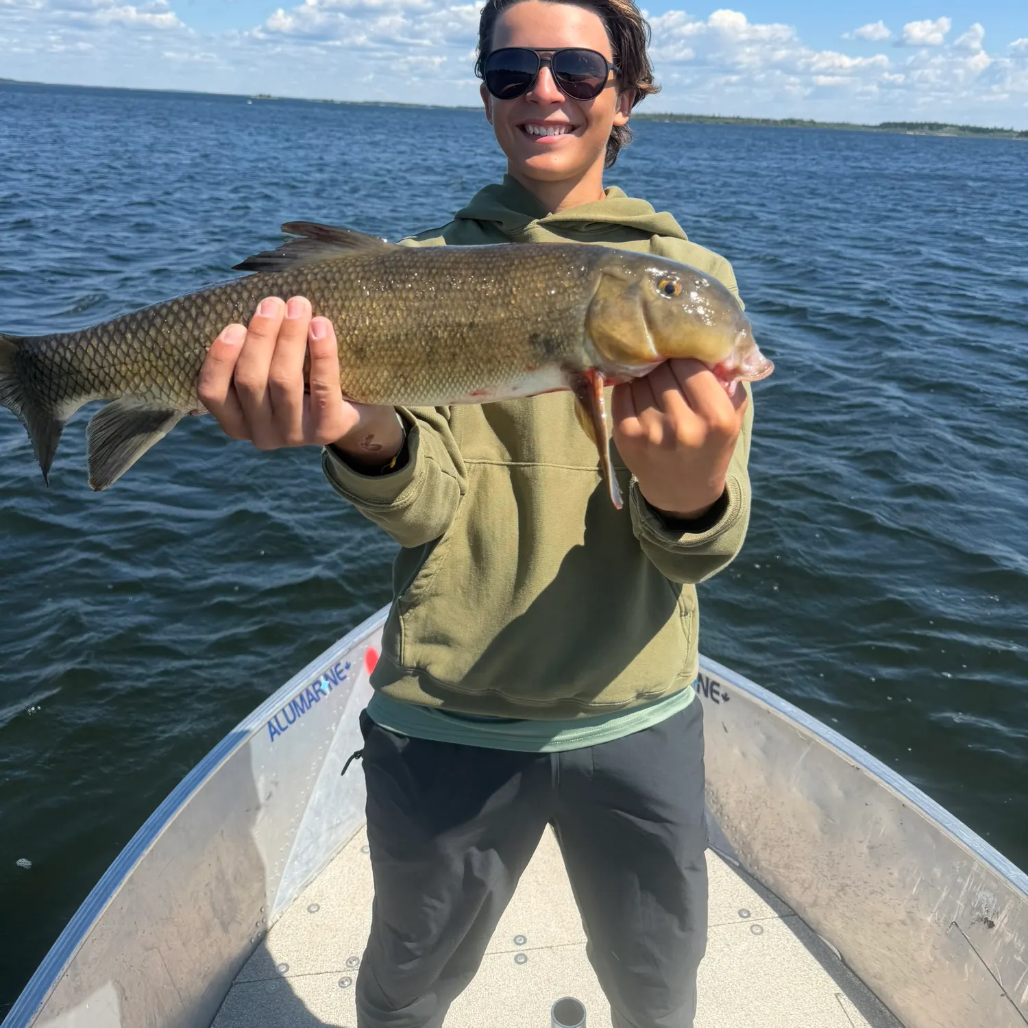 The most recent Largescale sucker catches on Fishbrain